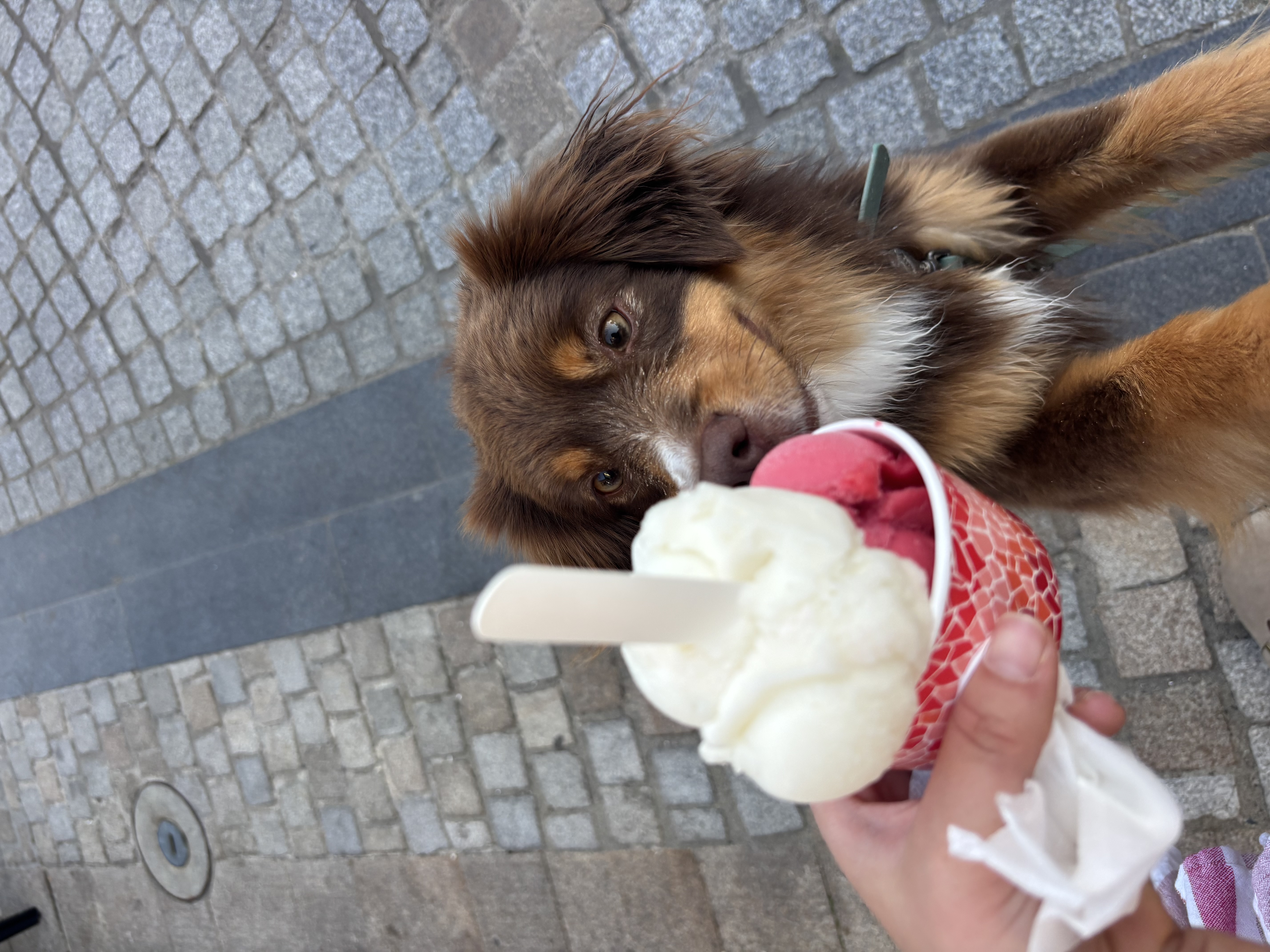 image-6