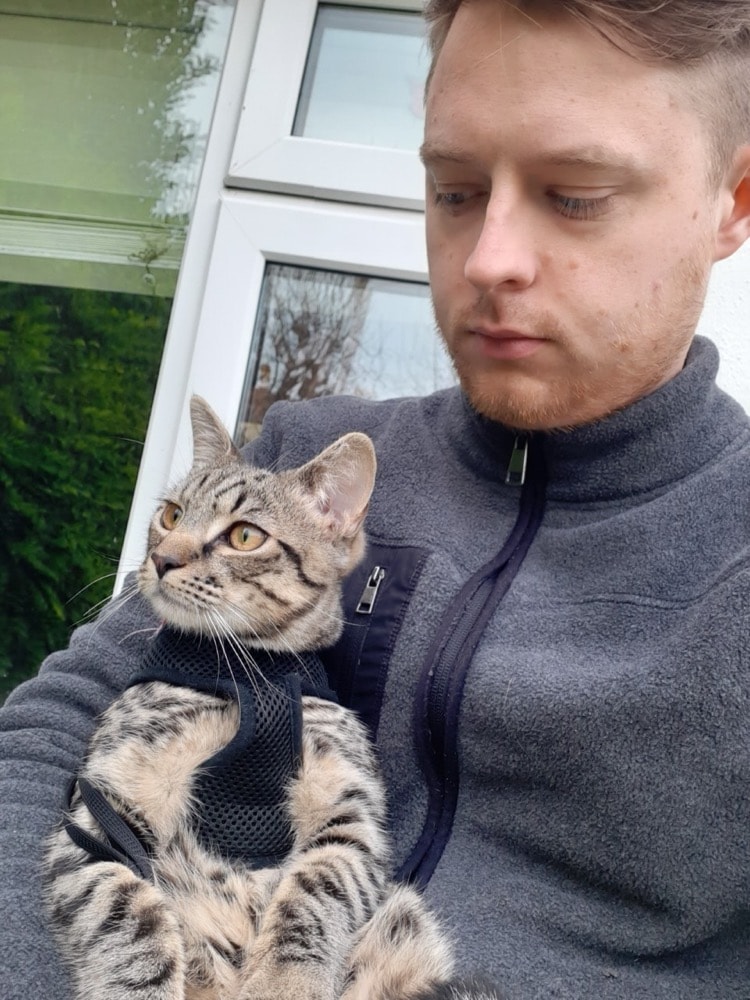image-6