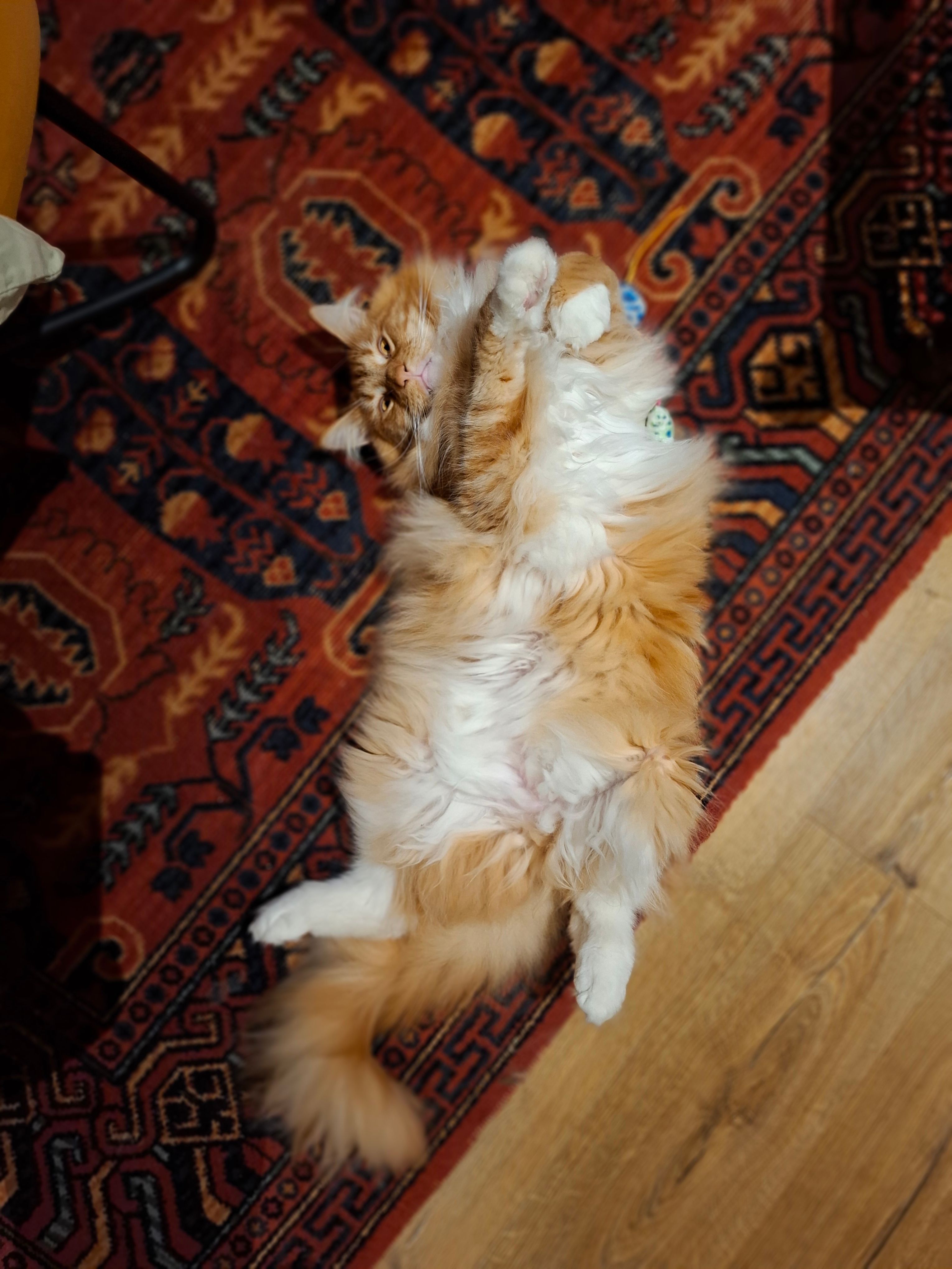 image-8