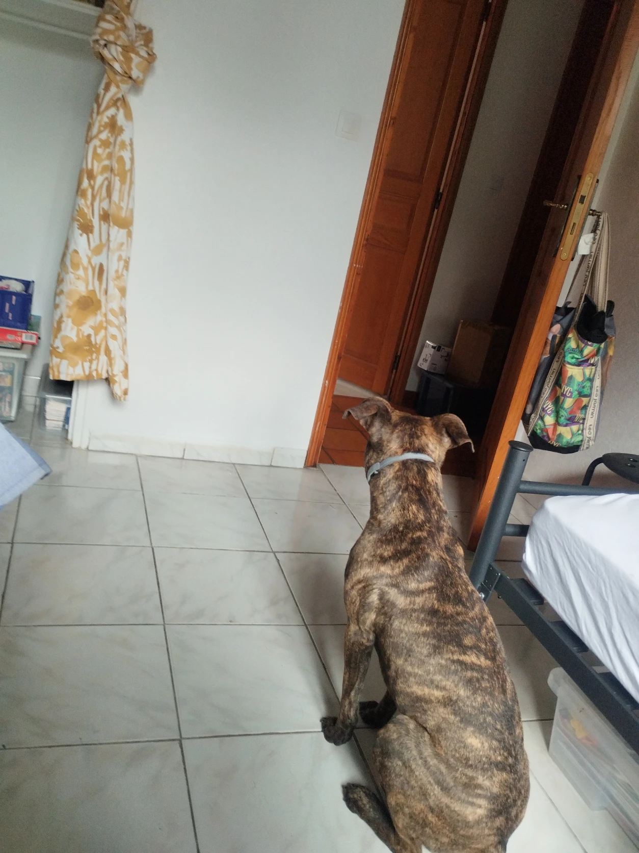 image-7