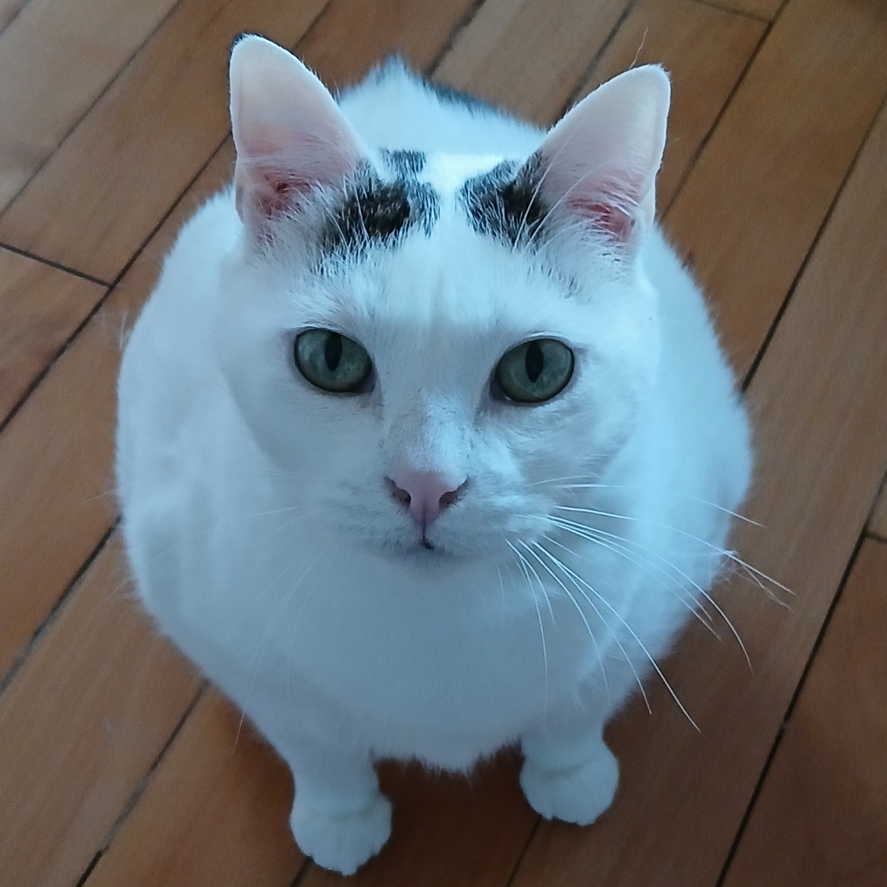 Laura