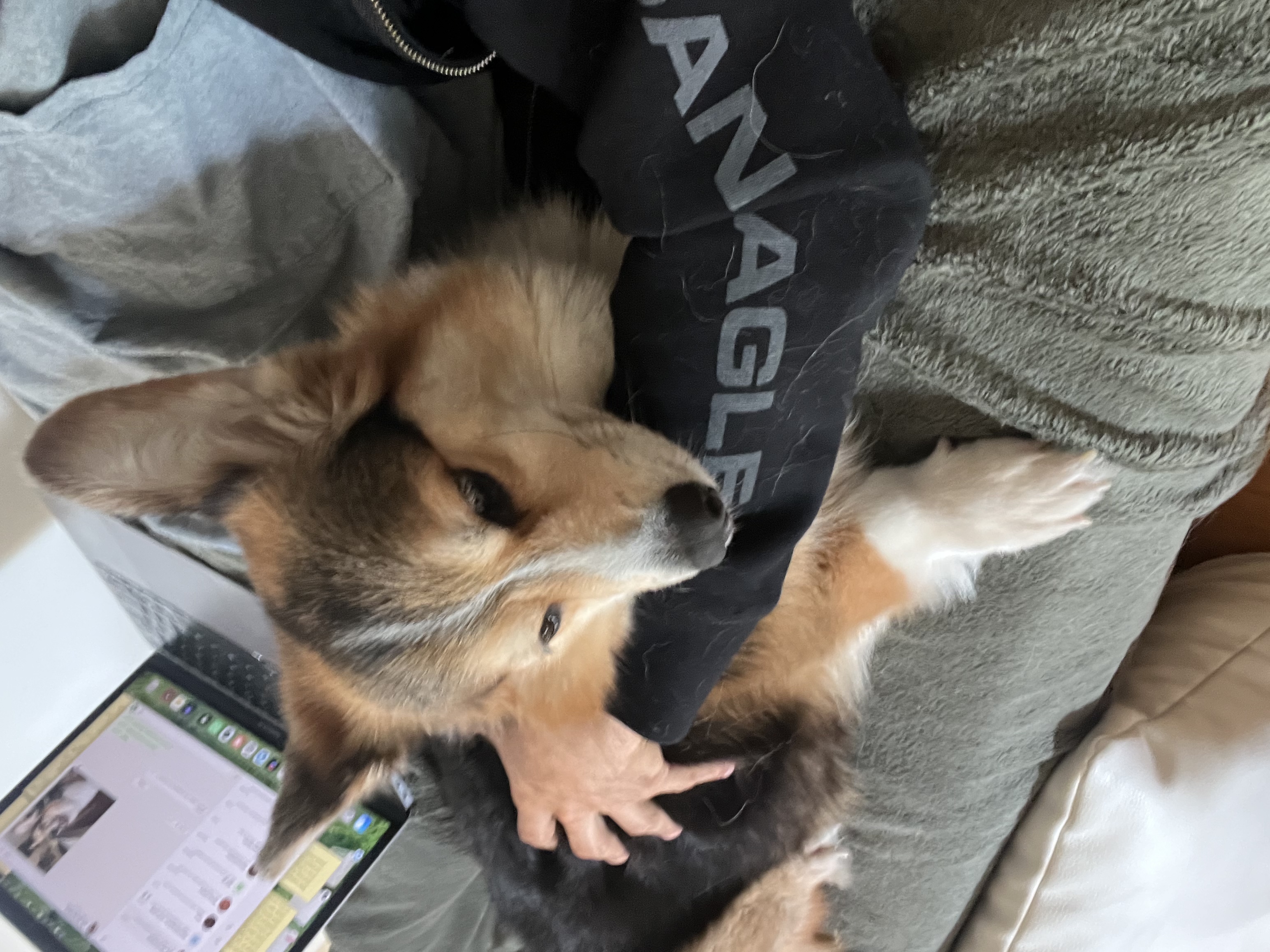 image-6