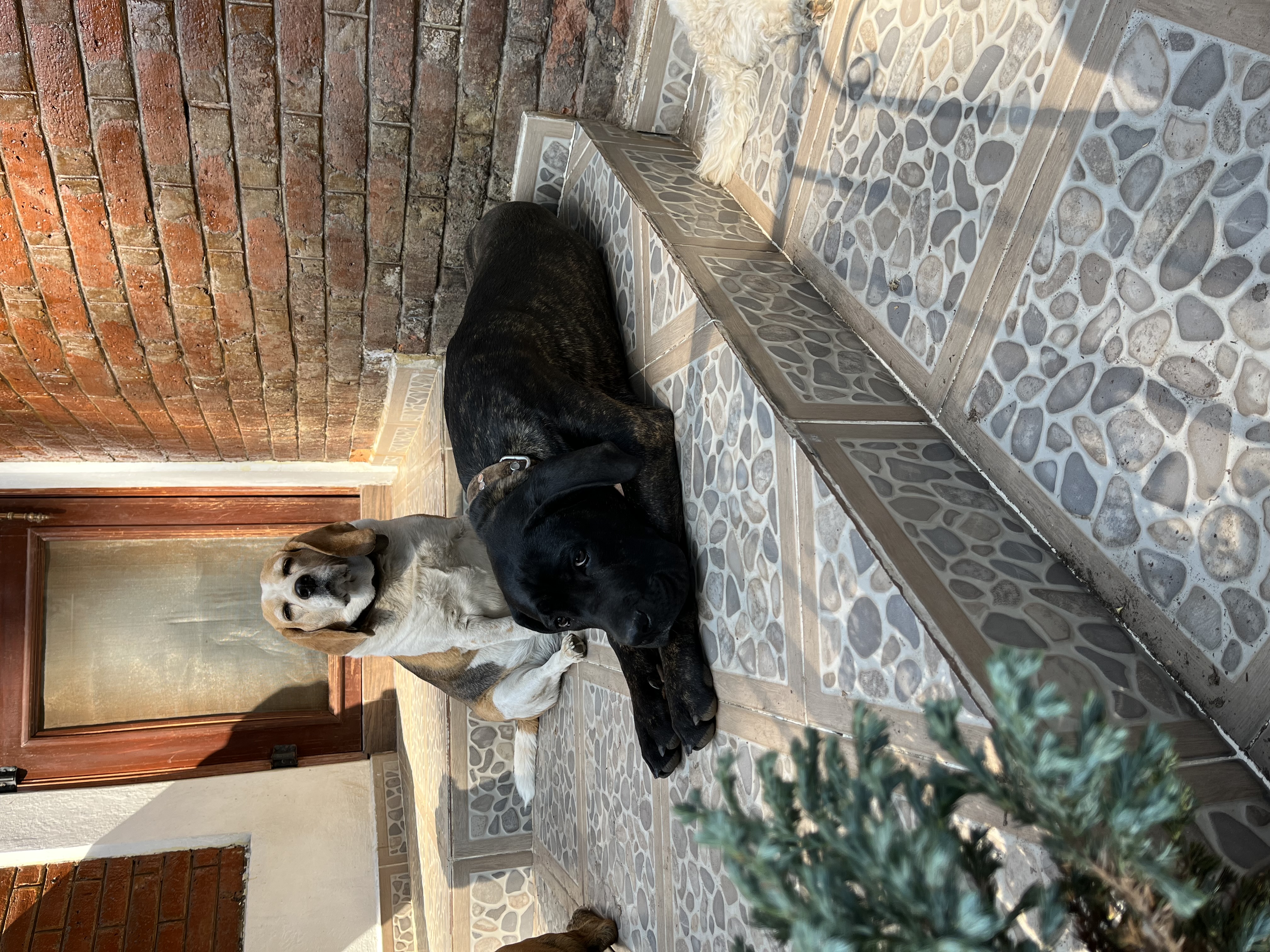 image-9