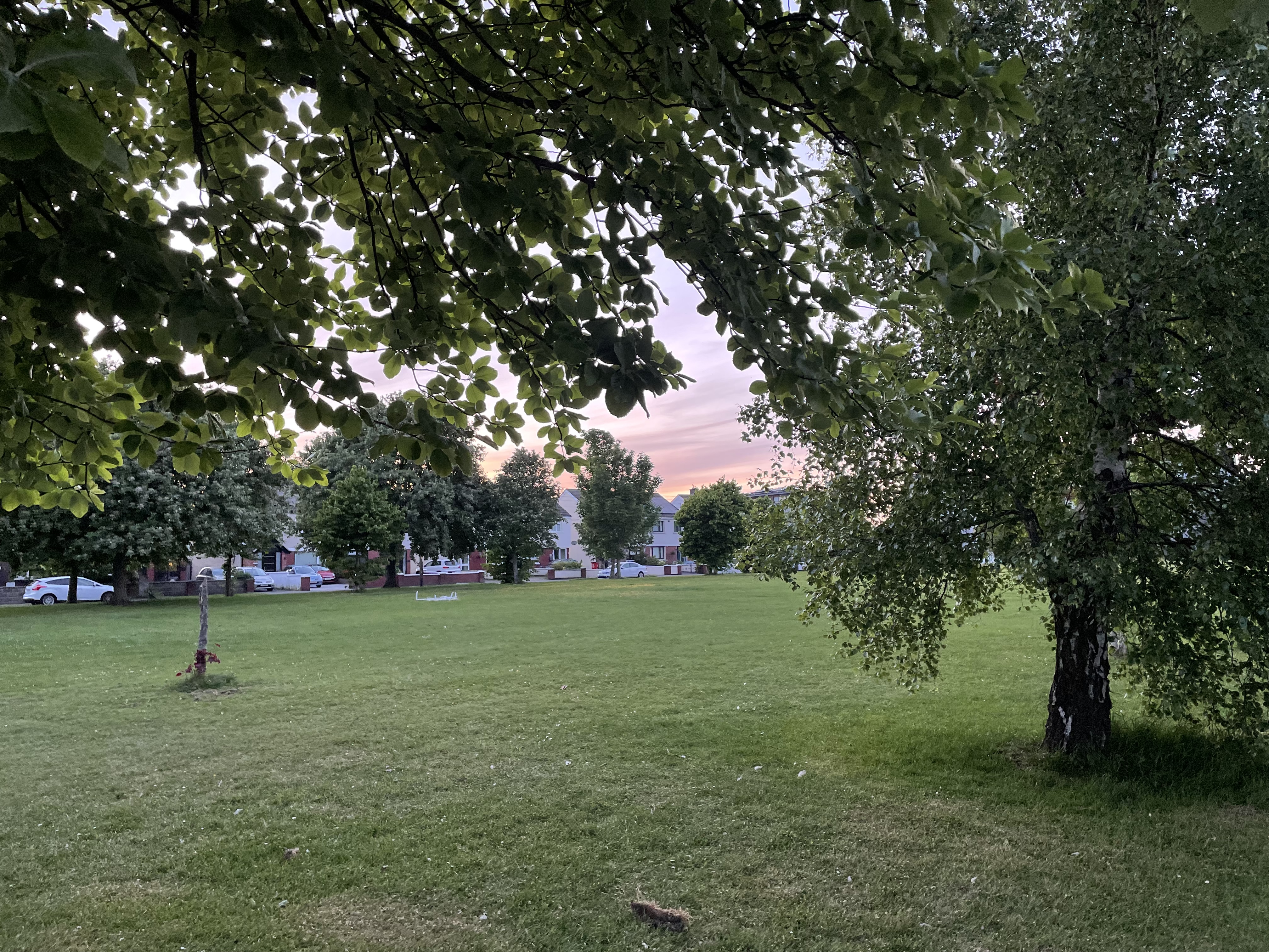 image-15
