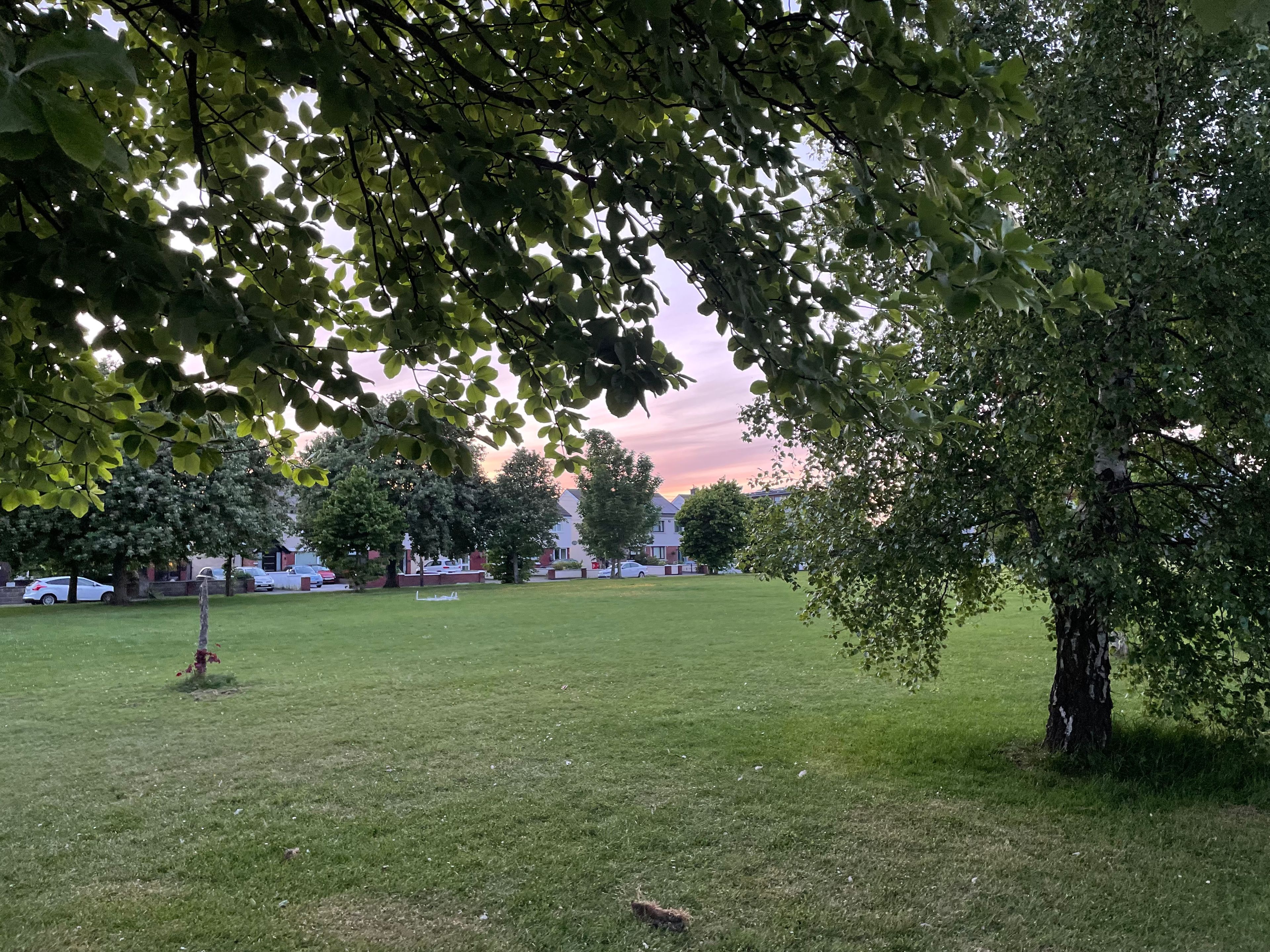 image-15