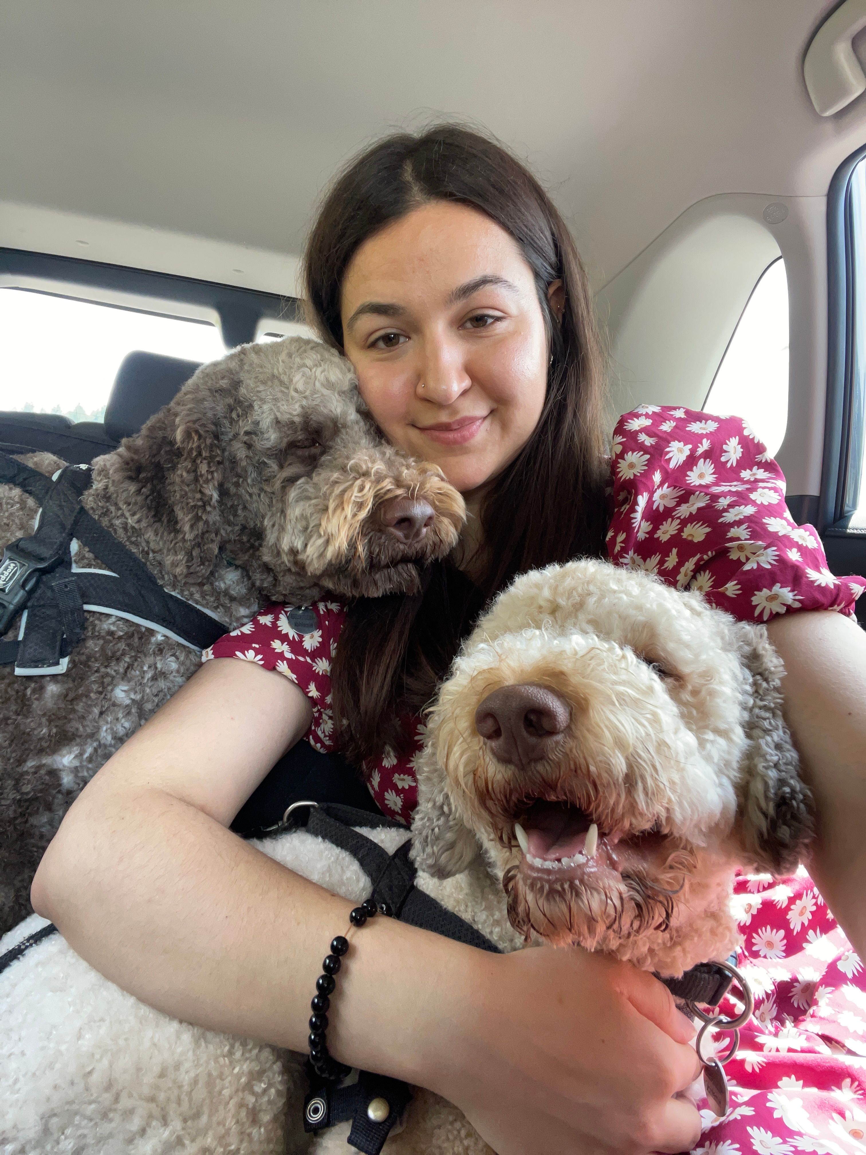 image-4