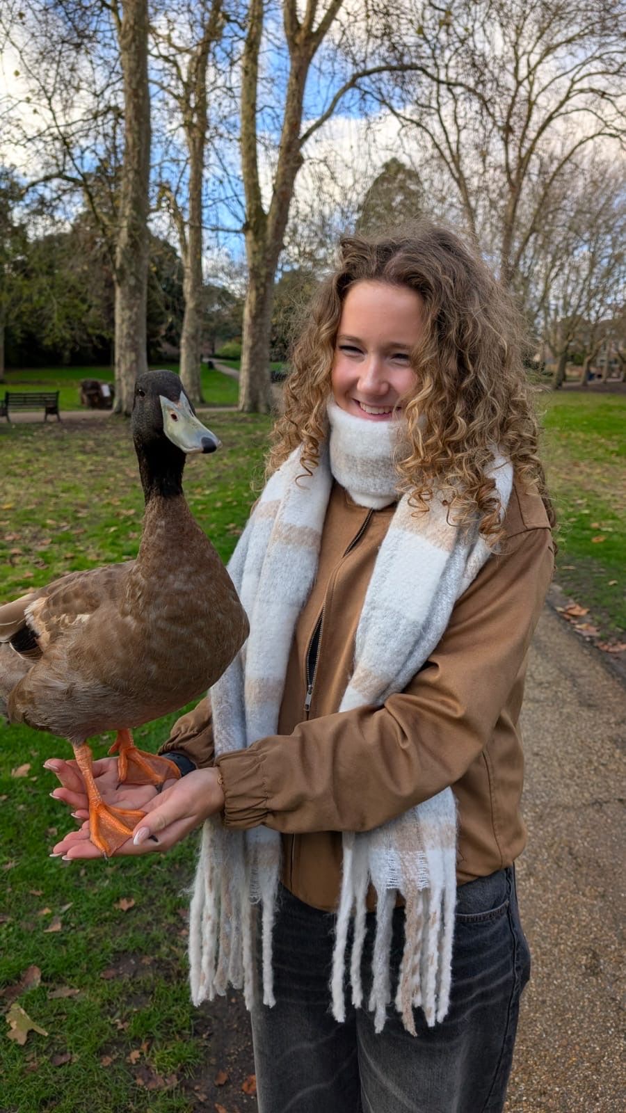 image-5