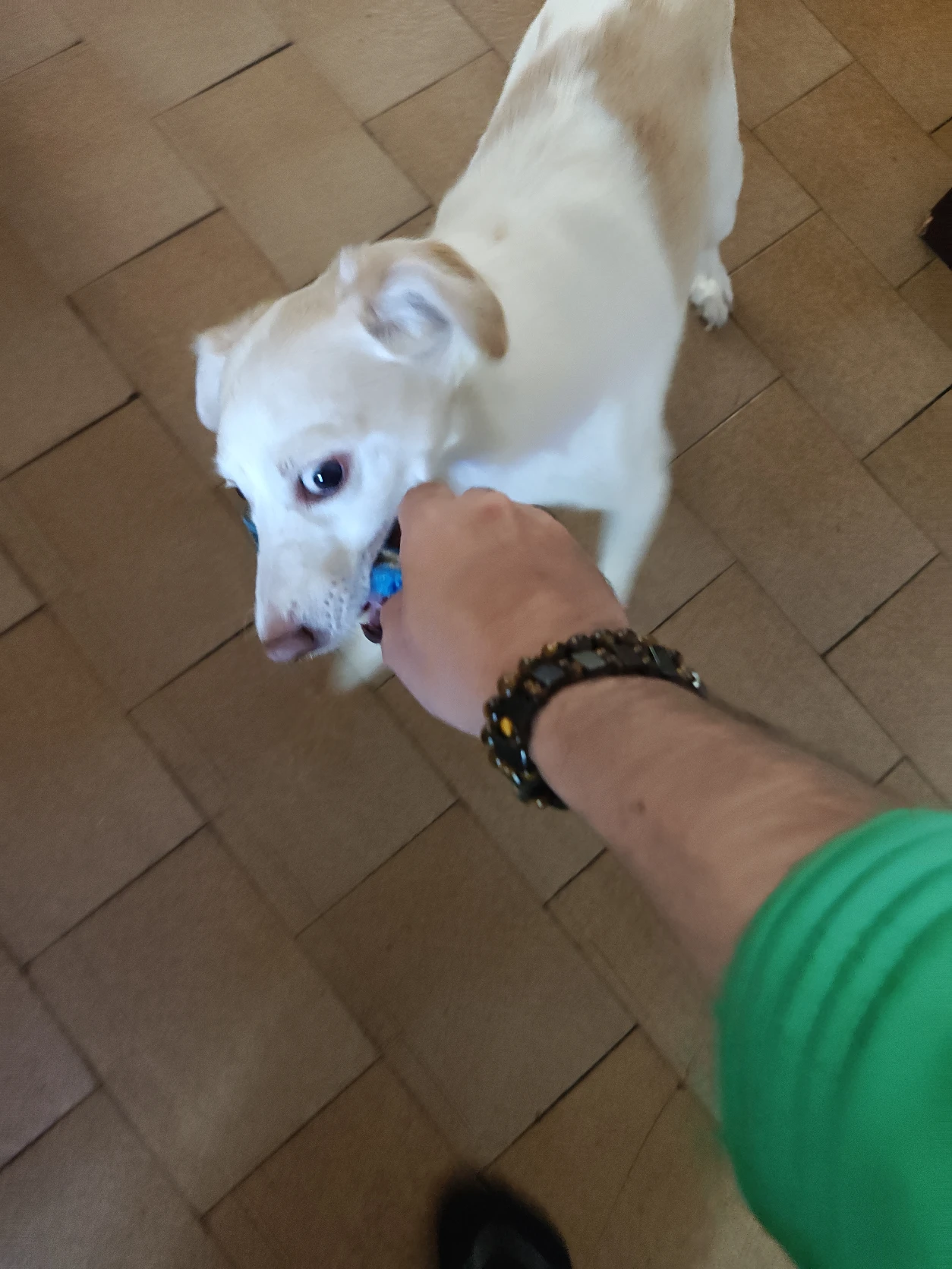 image-16