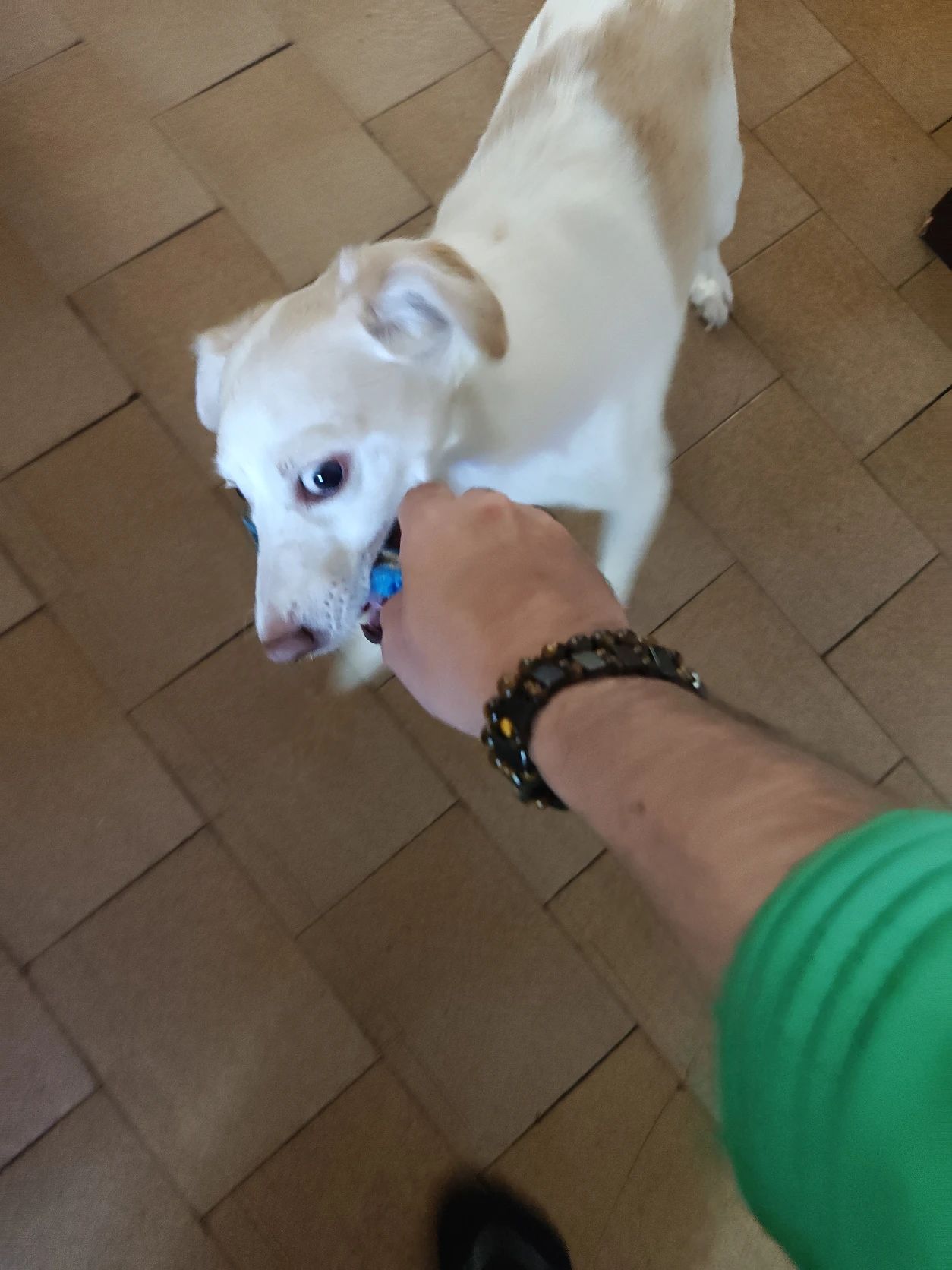 image-16