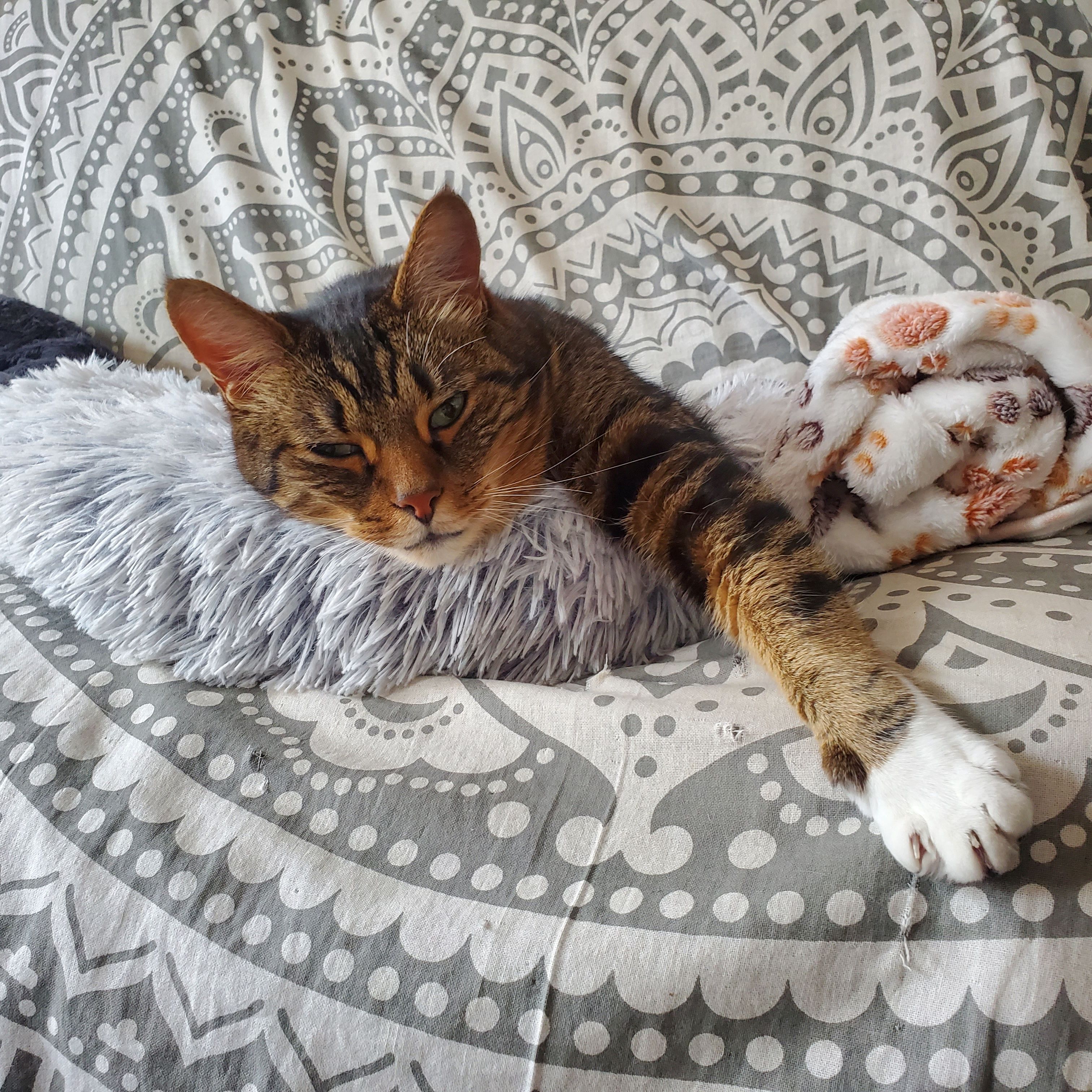Pablo