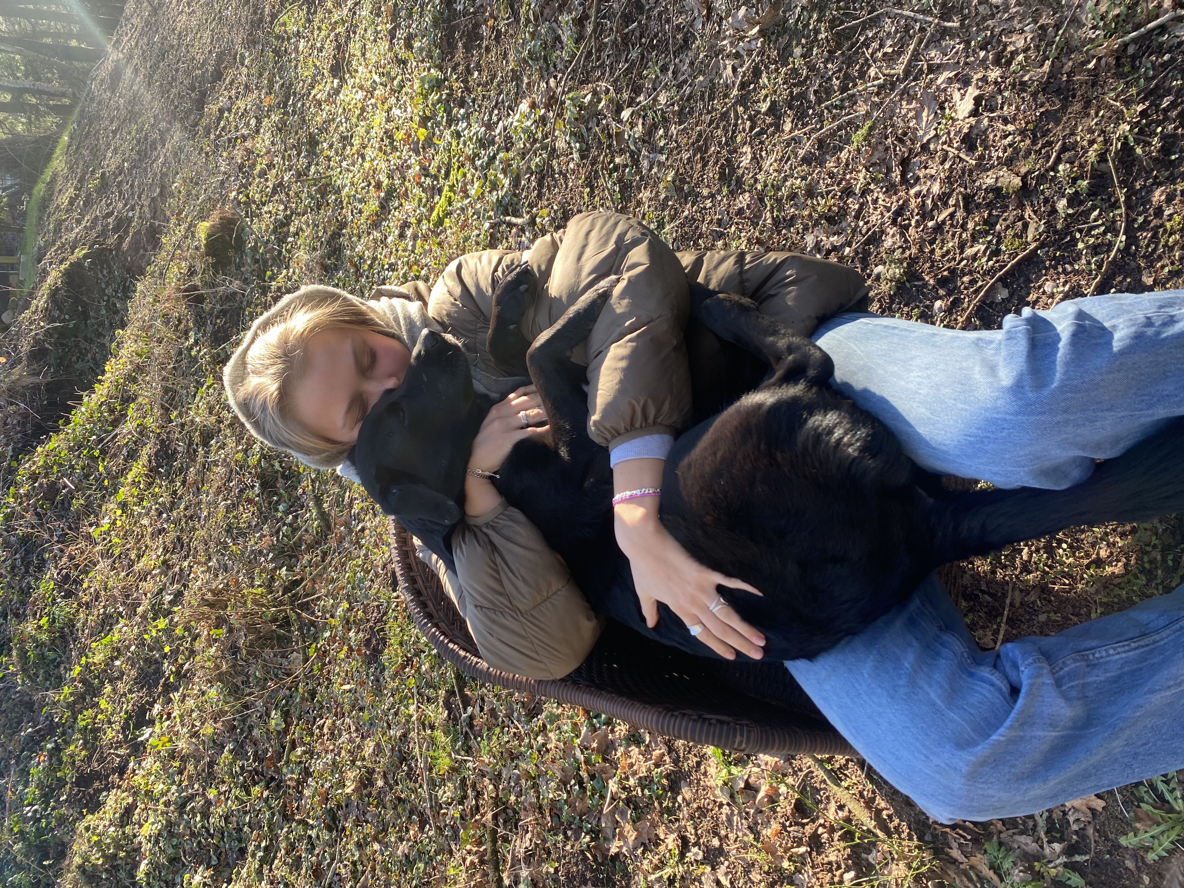 image-8