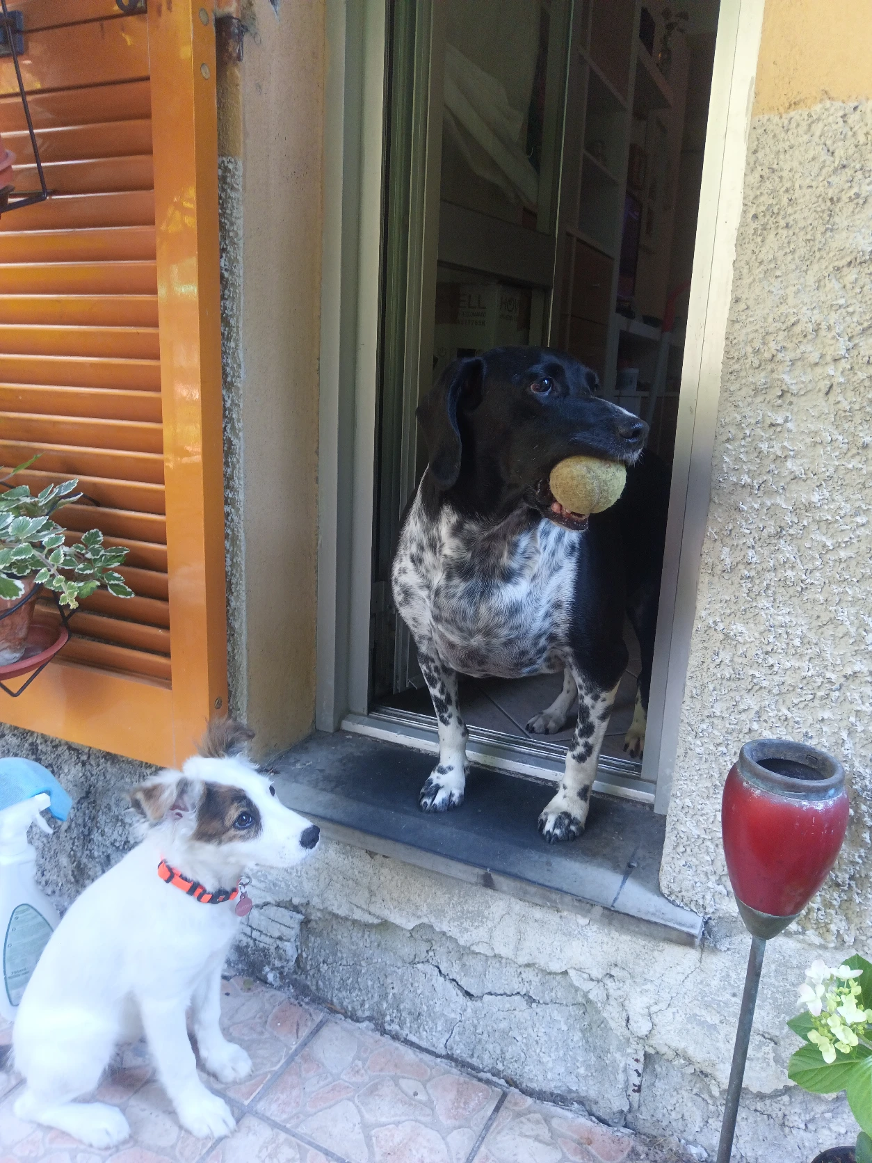 image-26