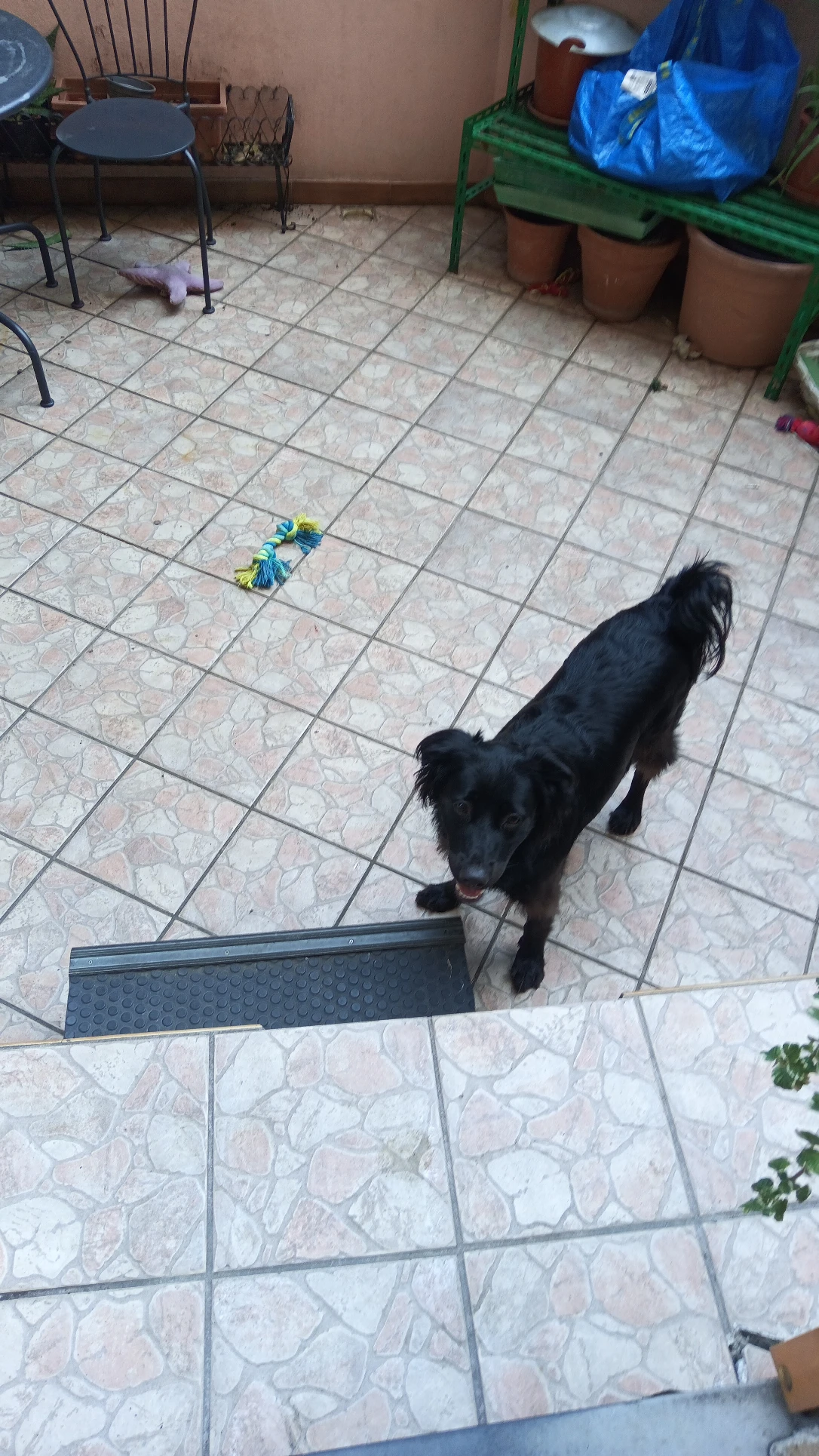 image-19