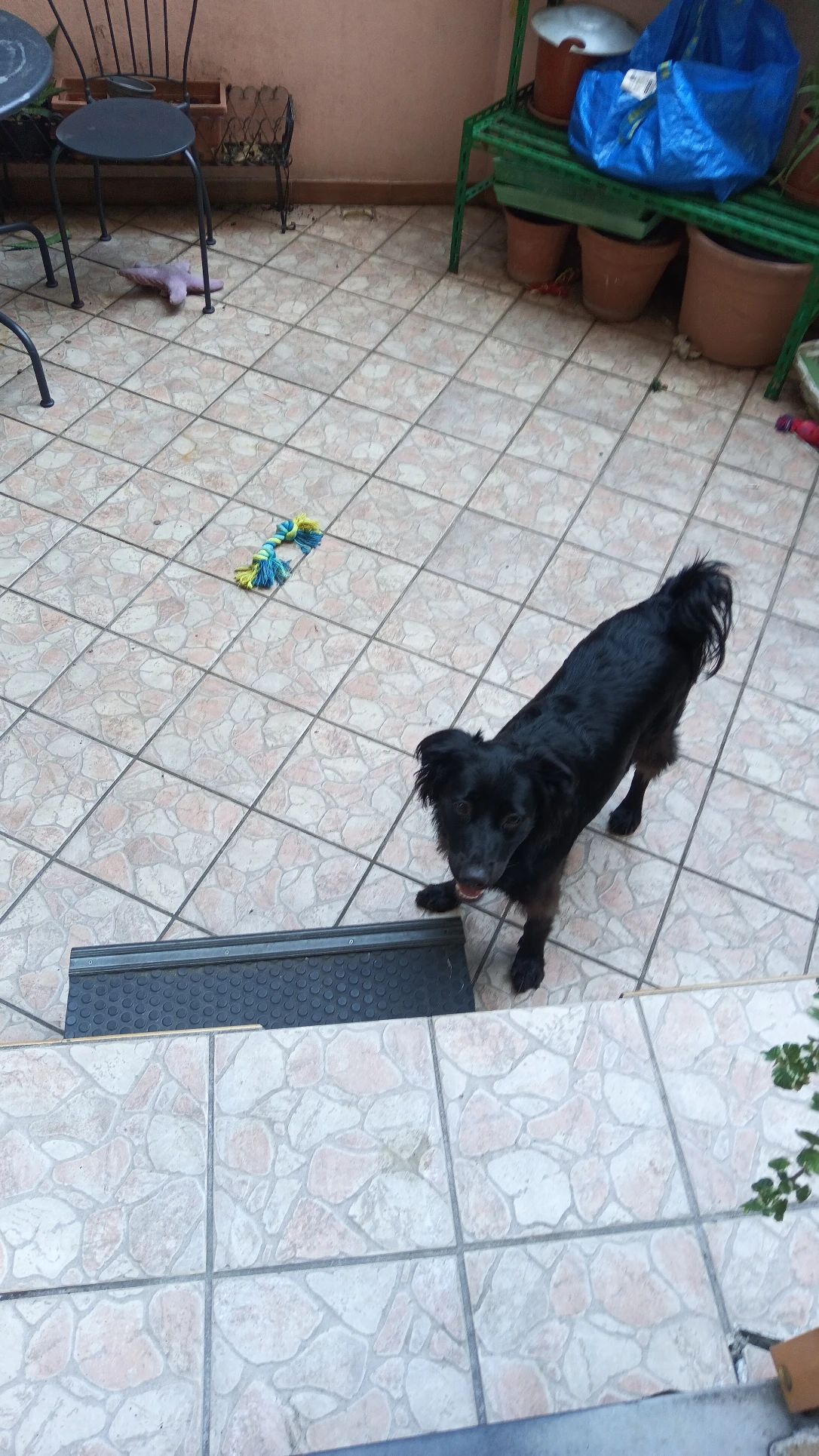image-19