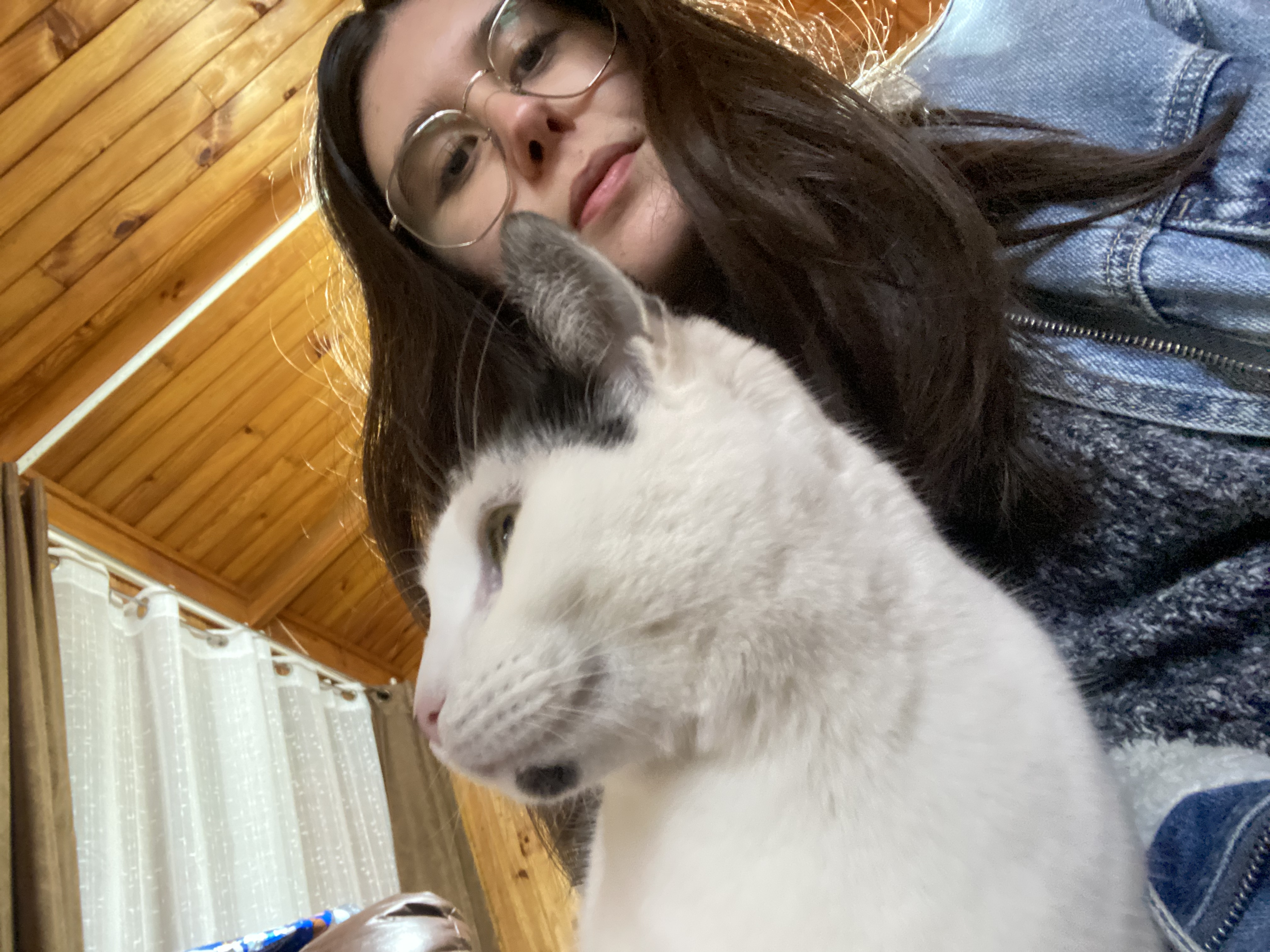 image-7
