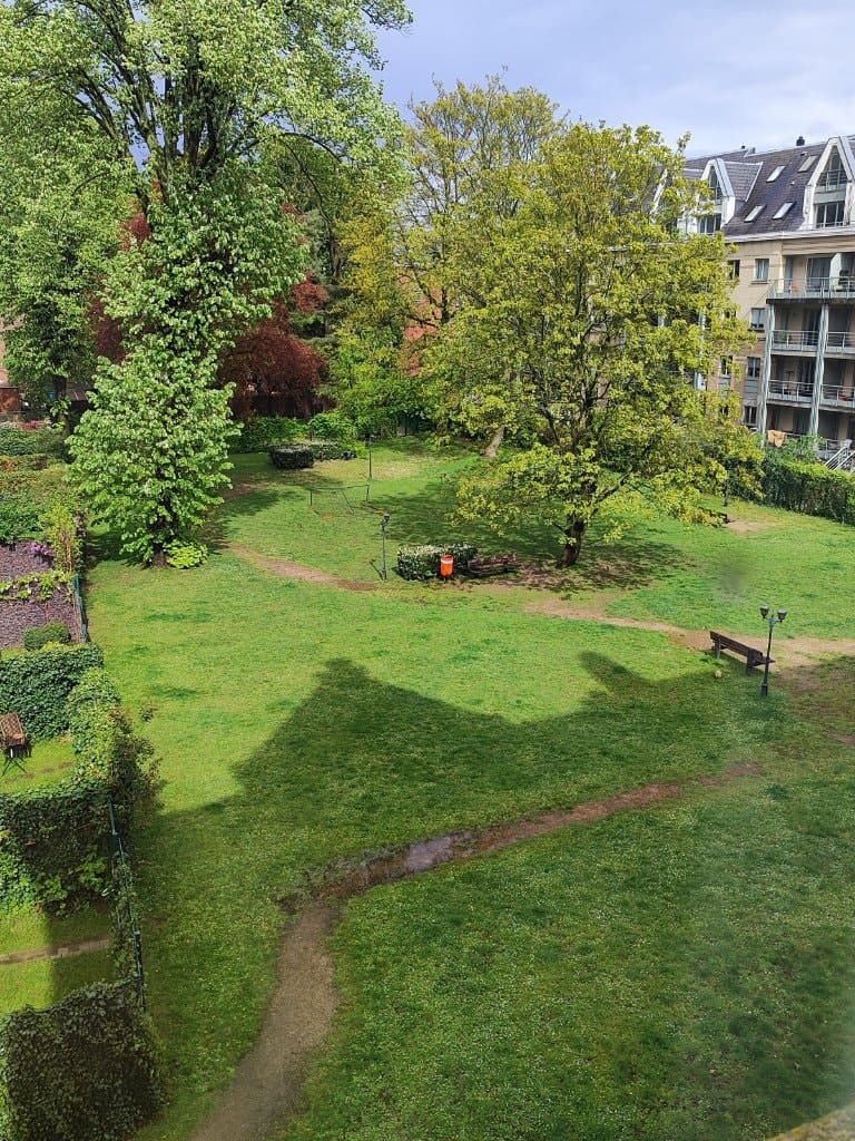 image-5