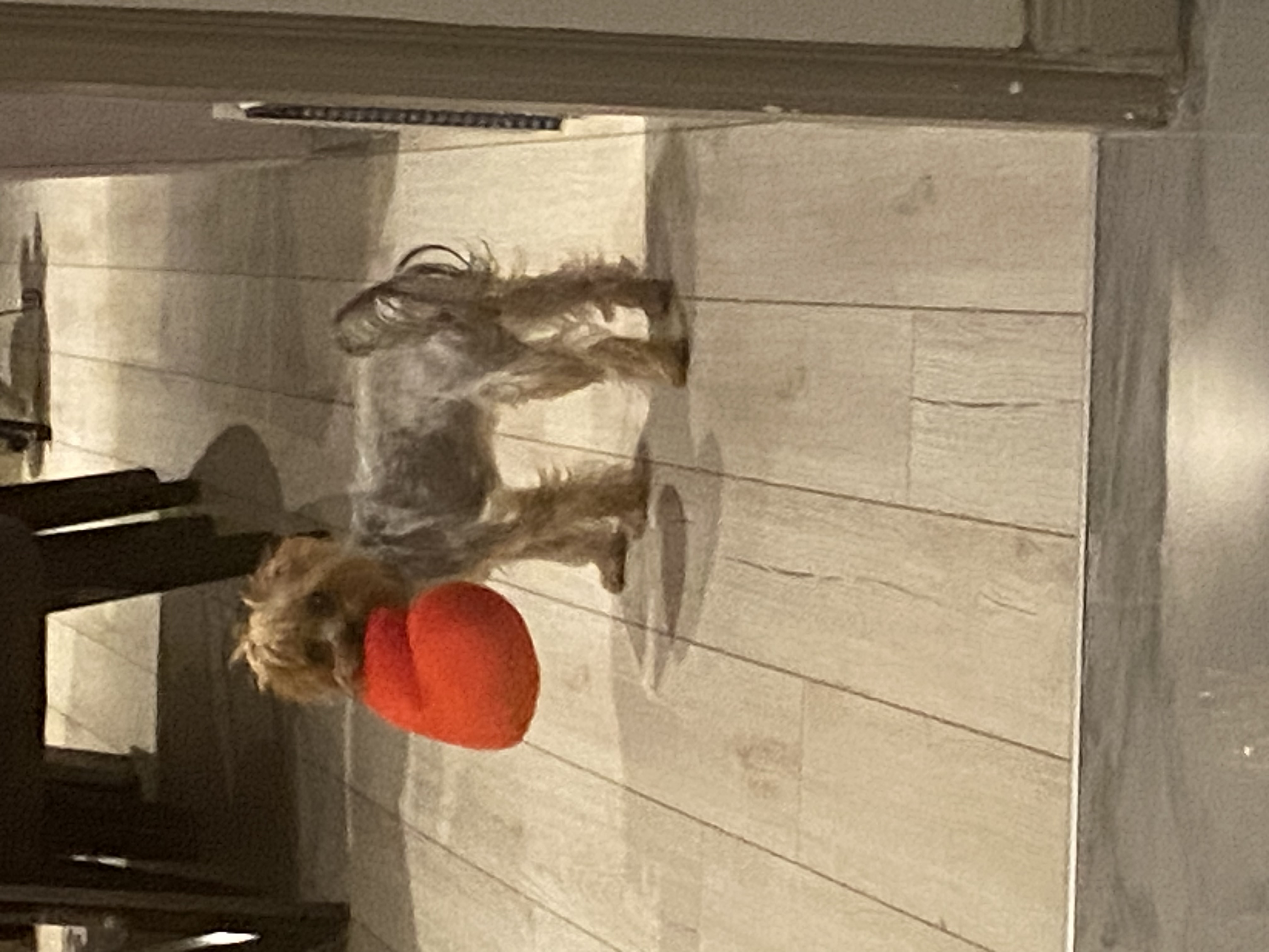image-6
