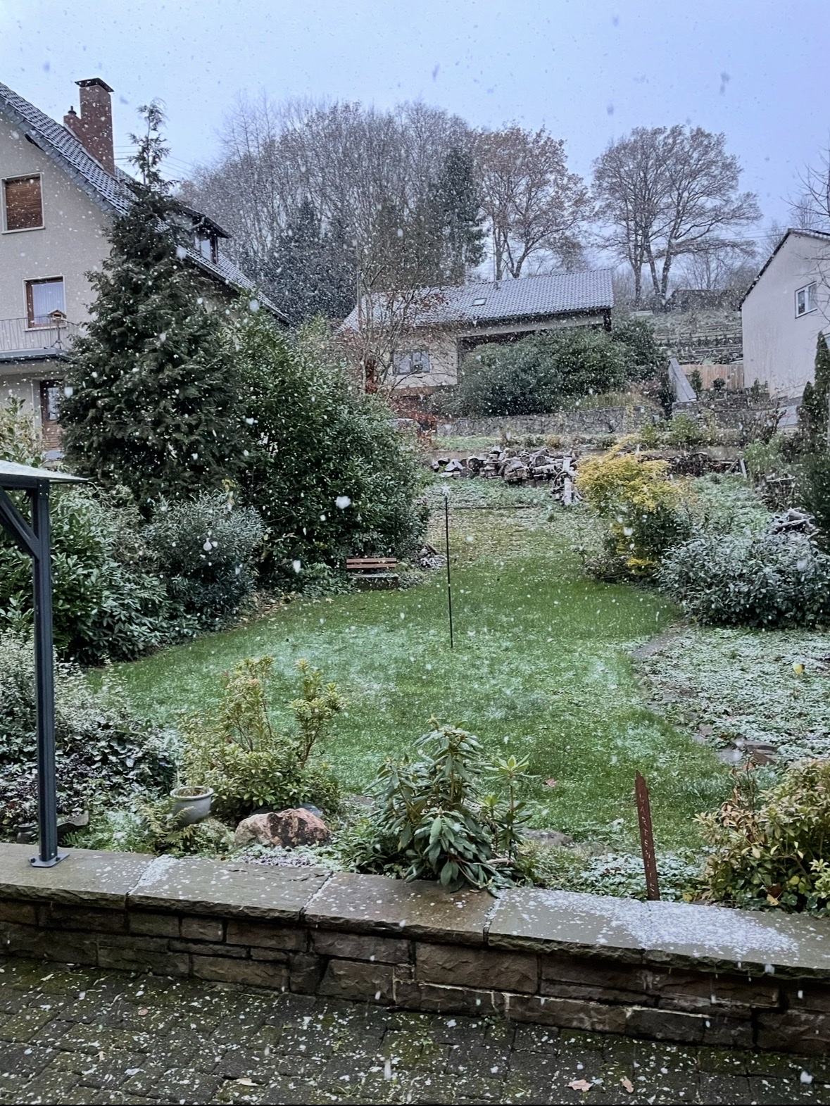 image-11