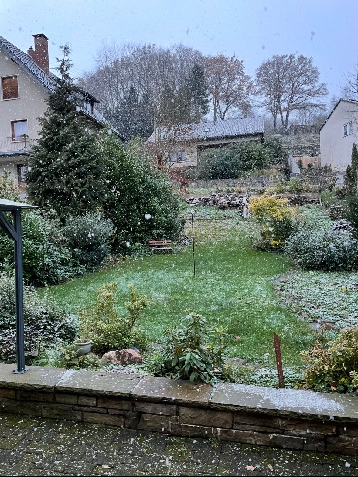 image-11