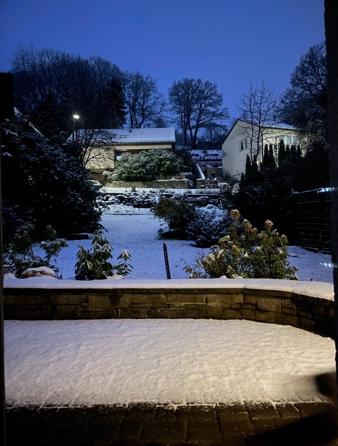 image-10