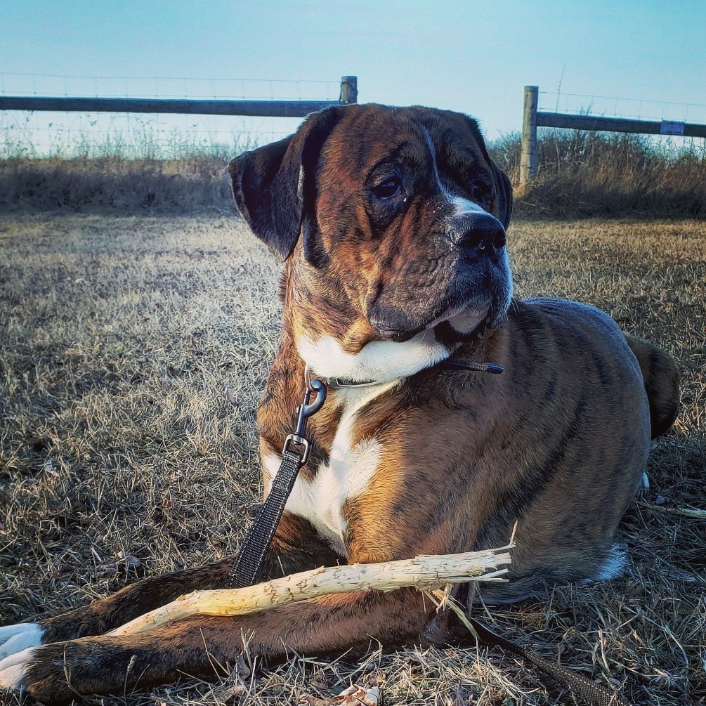 Lennon Anowa Nicholson 