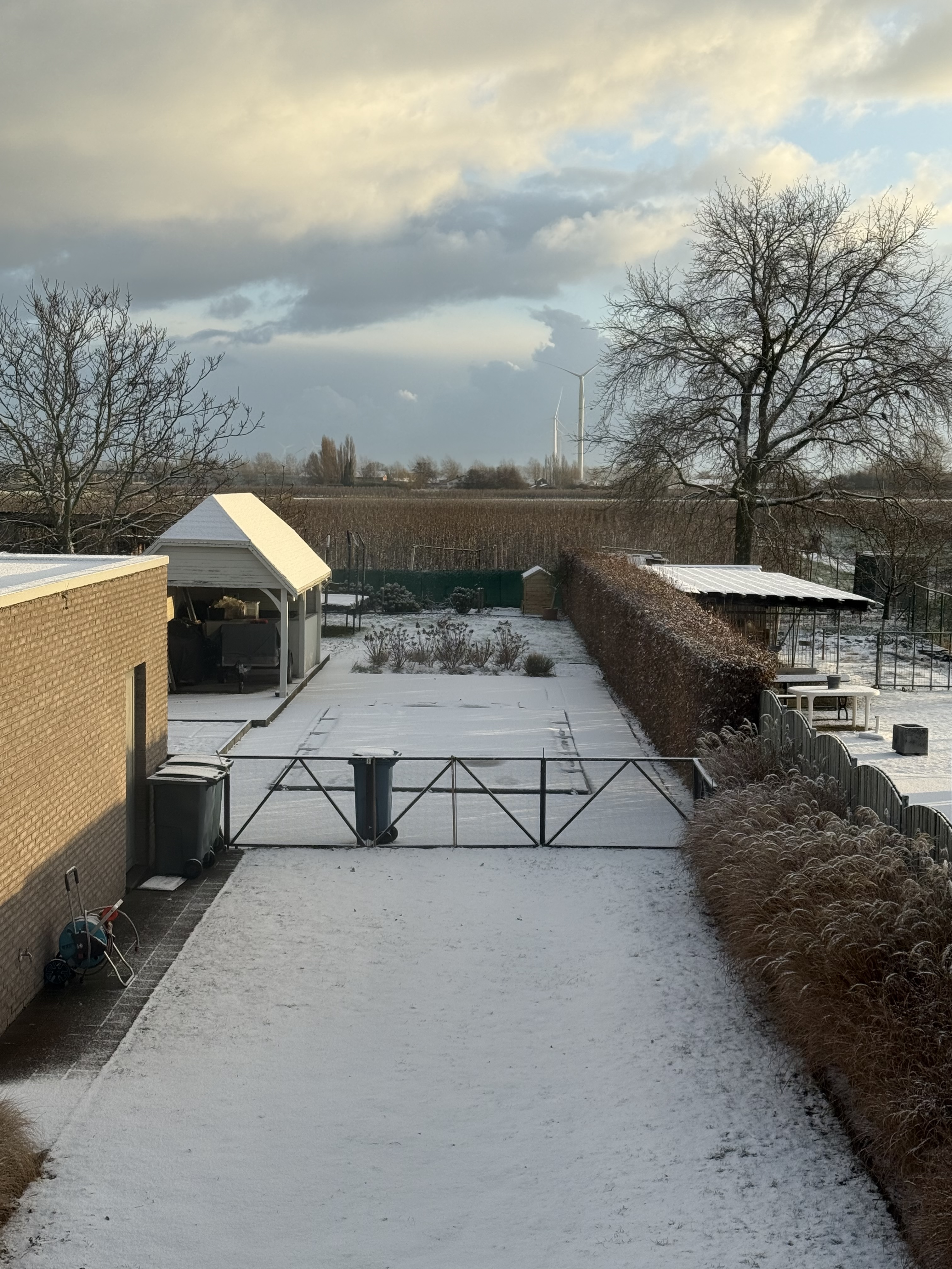 image-20