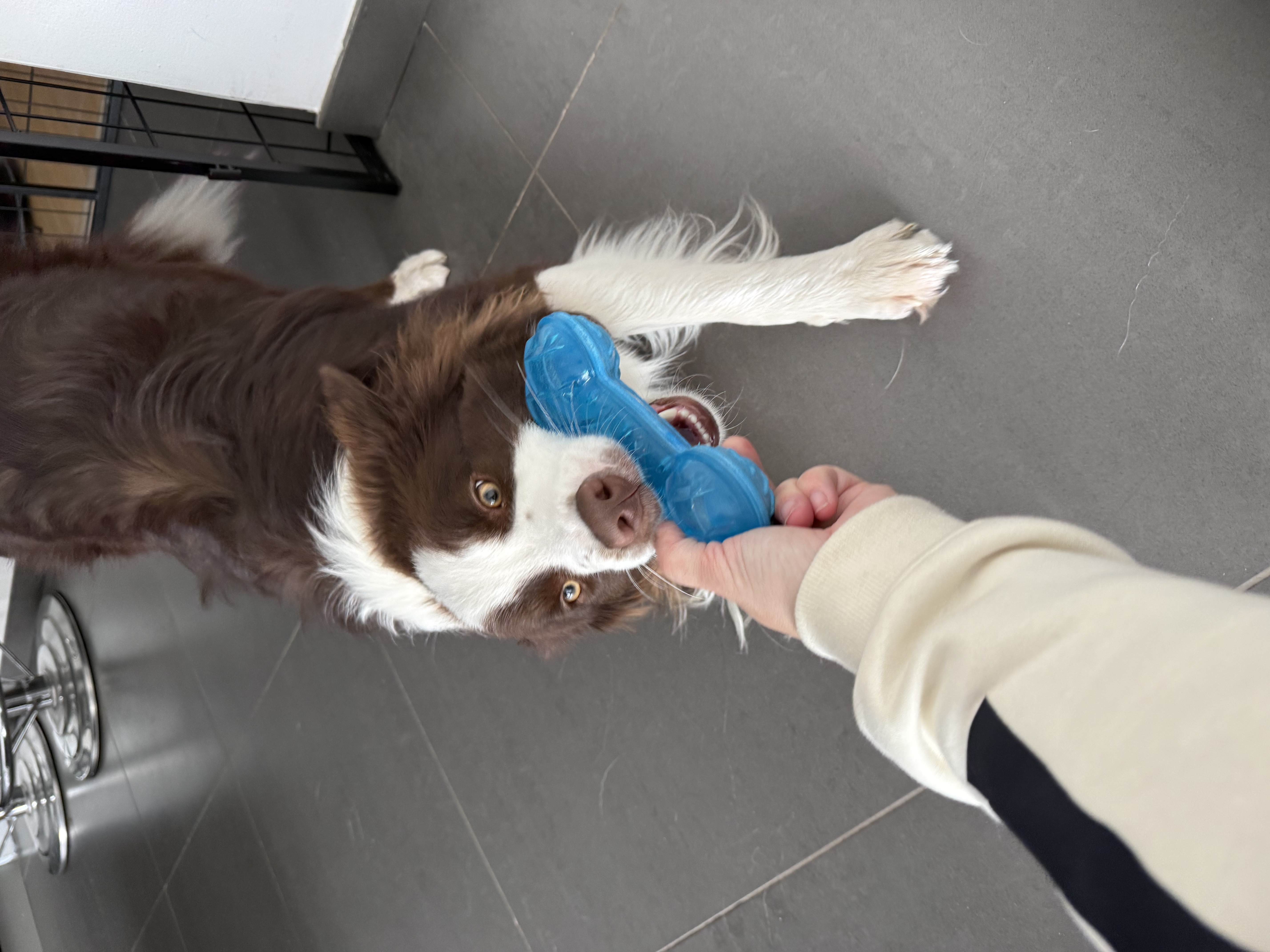 image-6