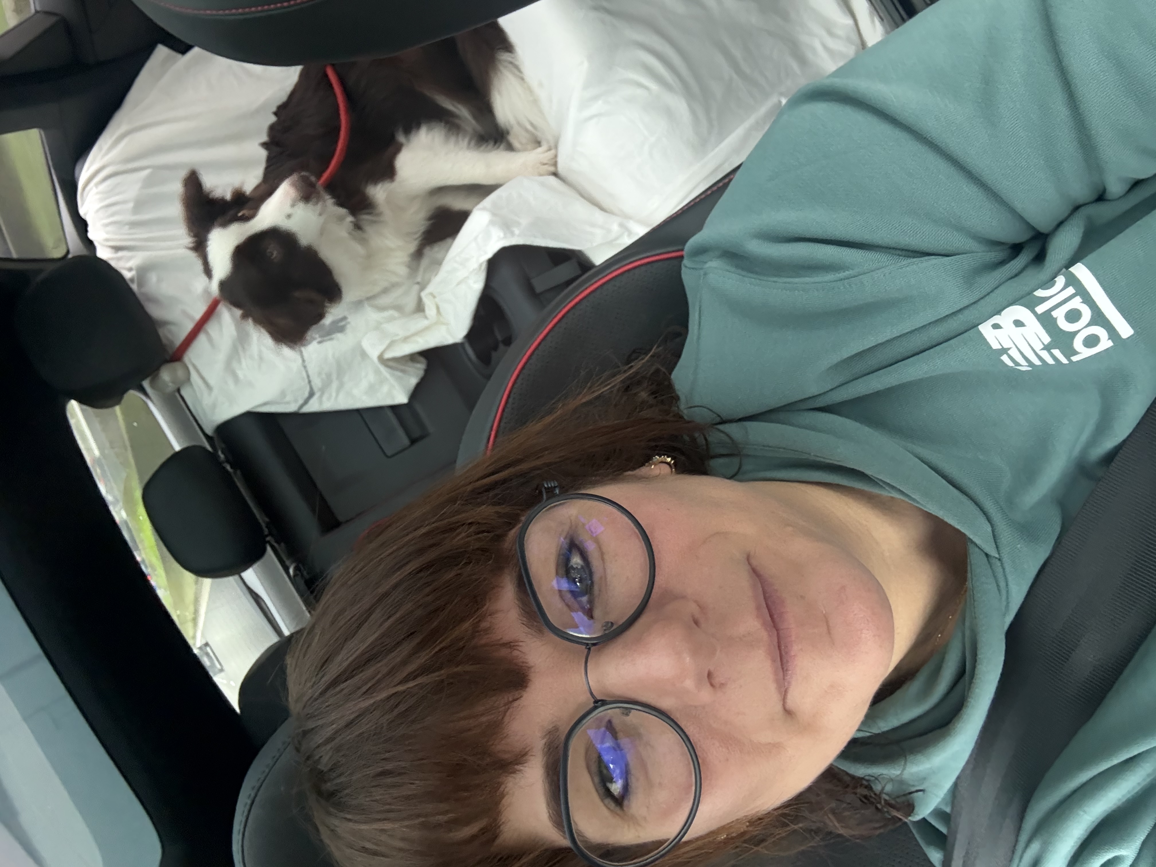 image-2