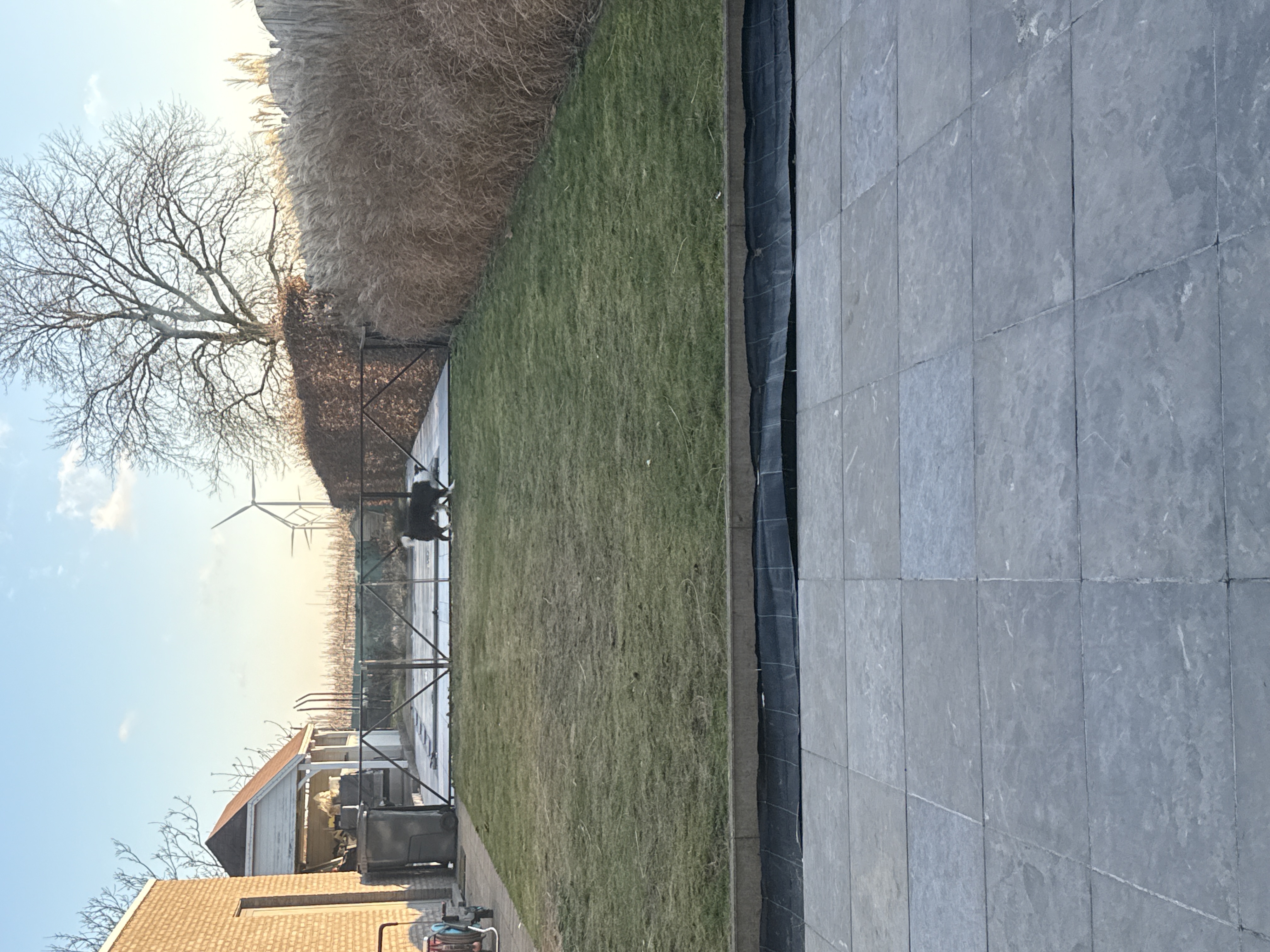 image-23