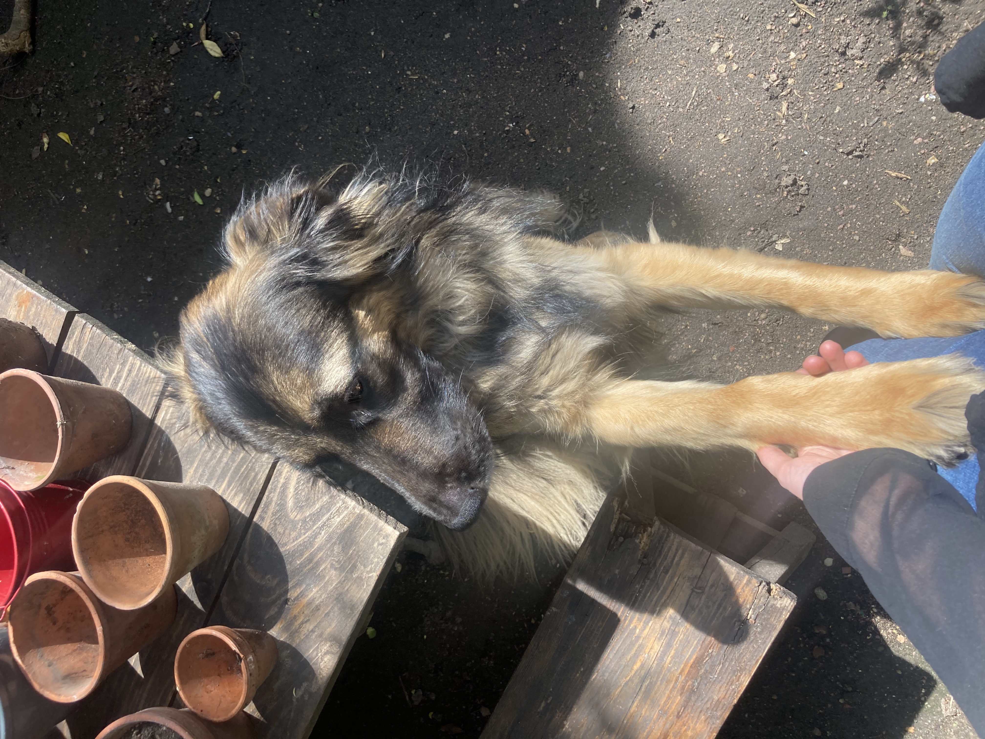 image-6