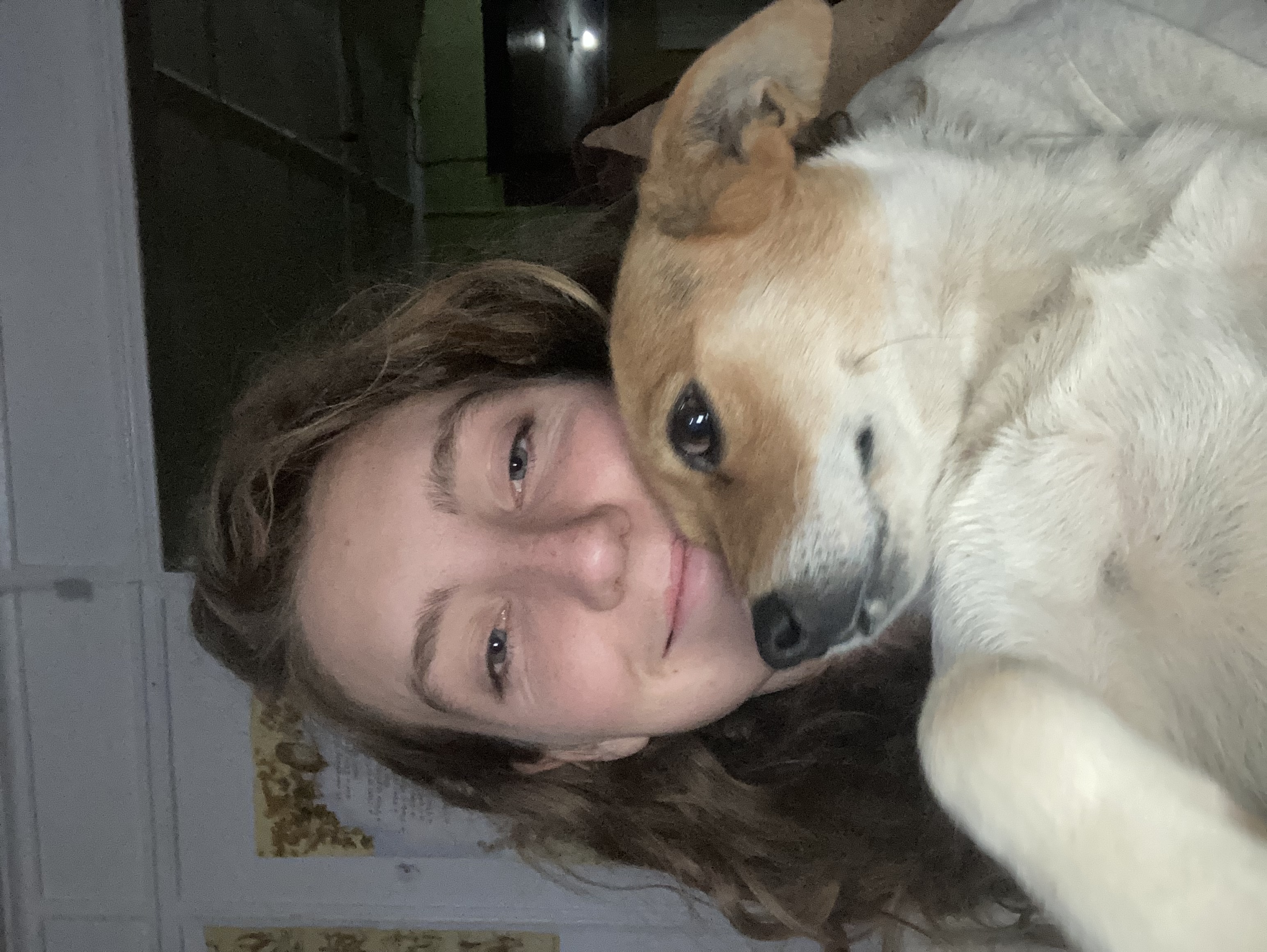 image-5