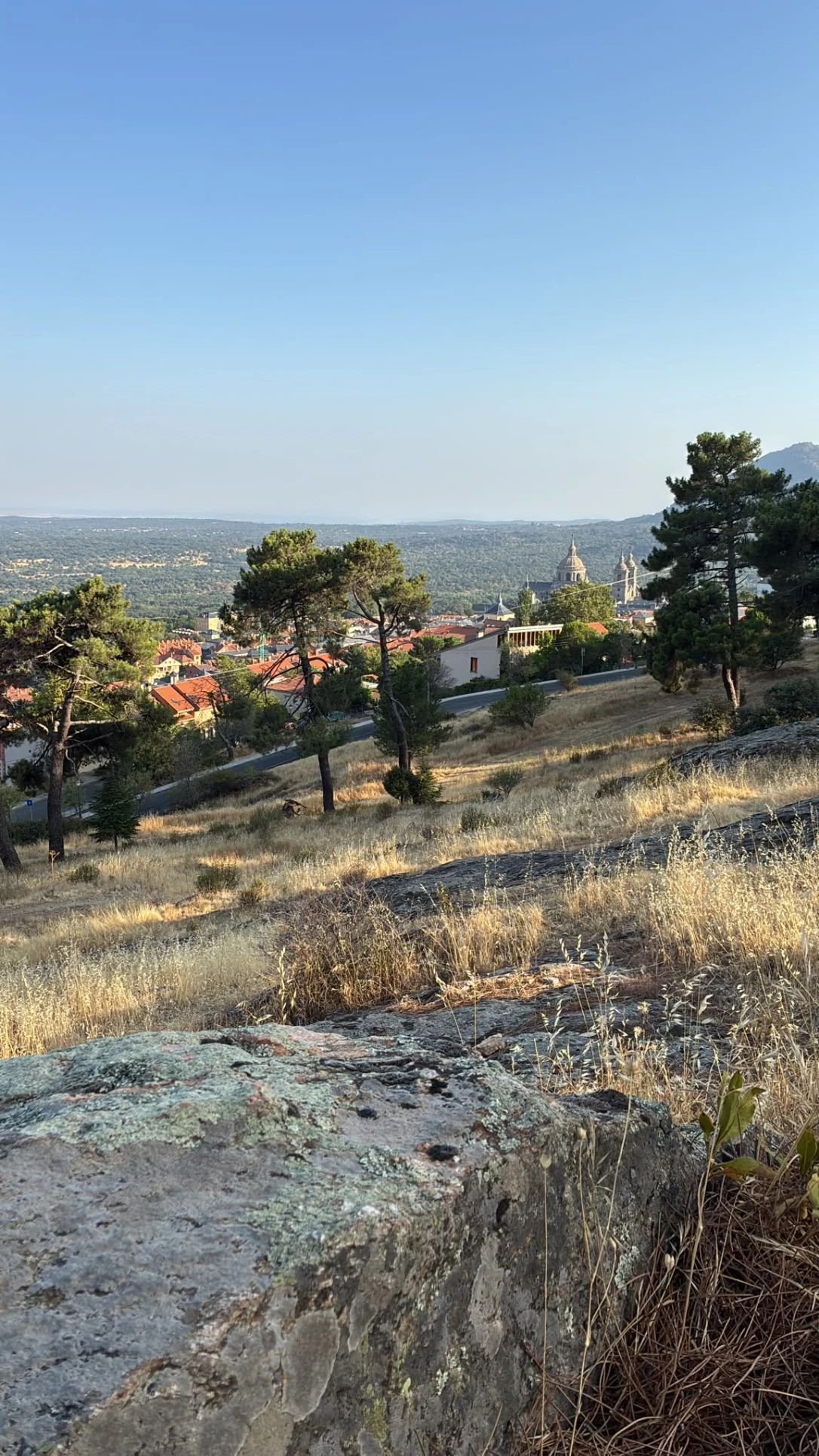 image-20