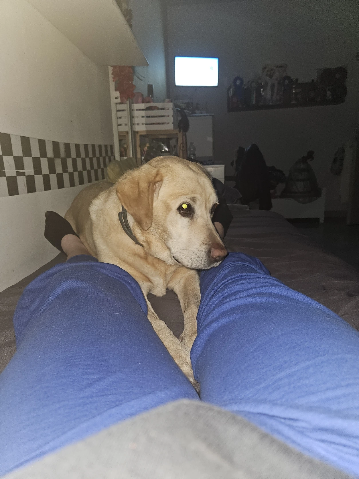 image-10
