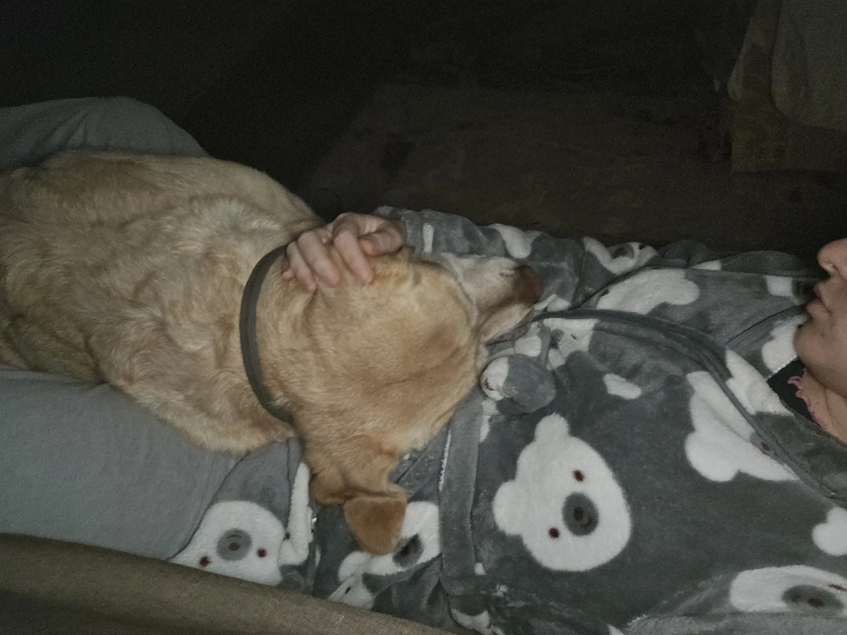 image-4