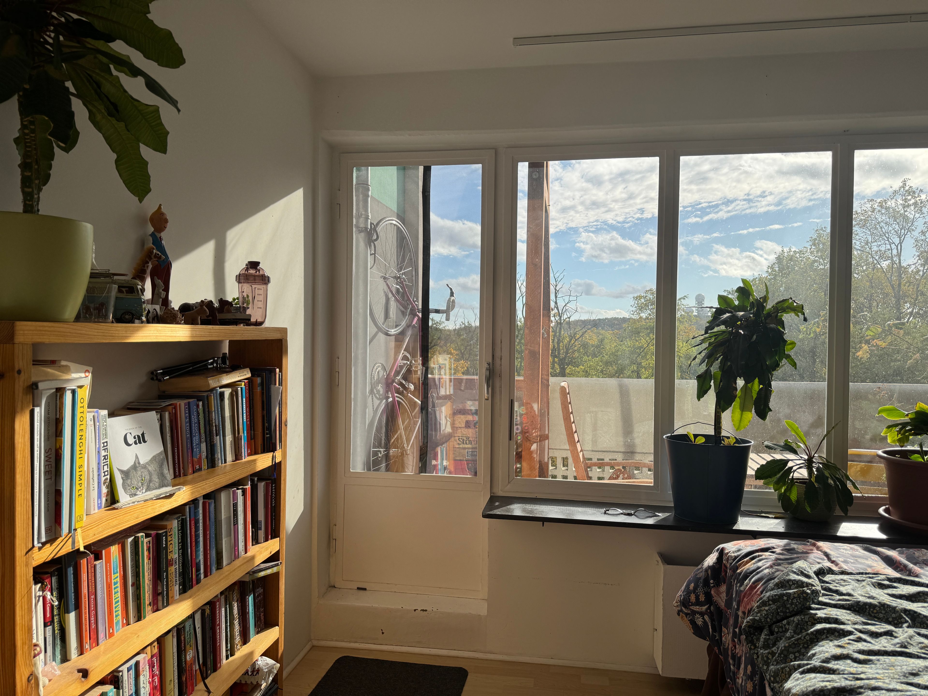 image-10