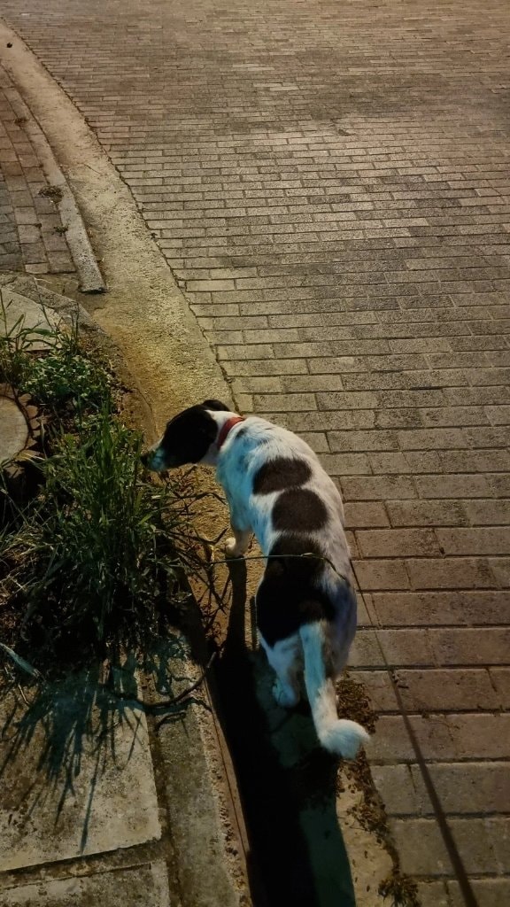 image-7