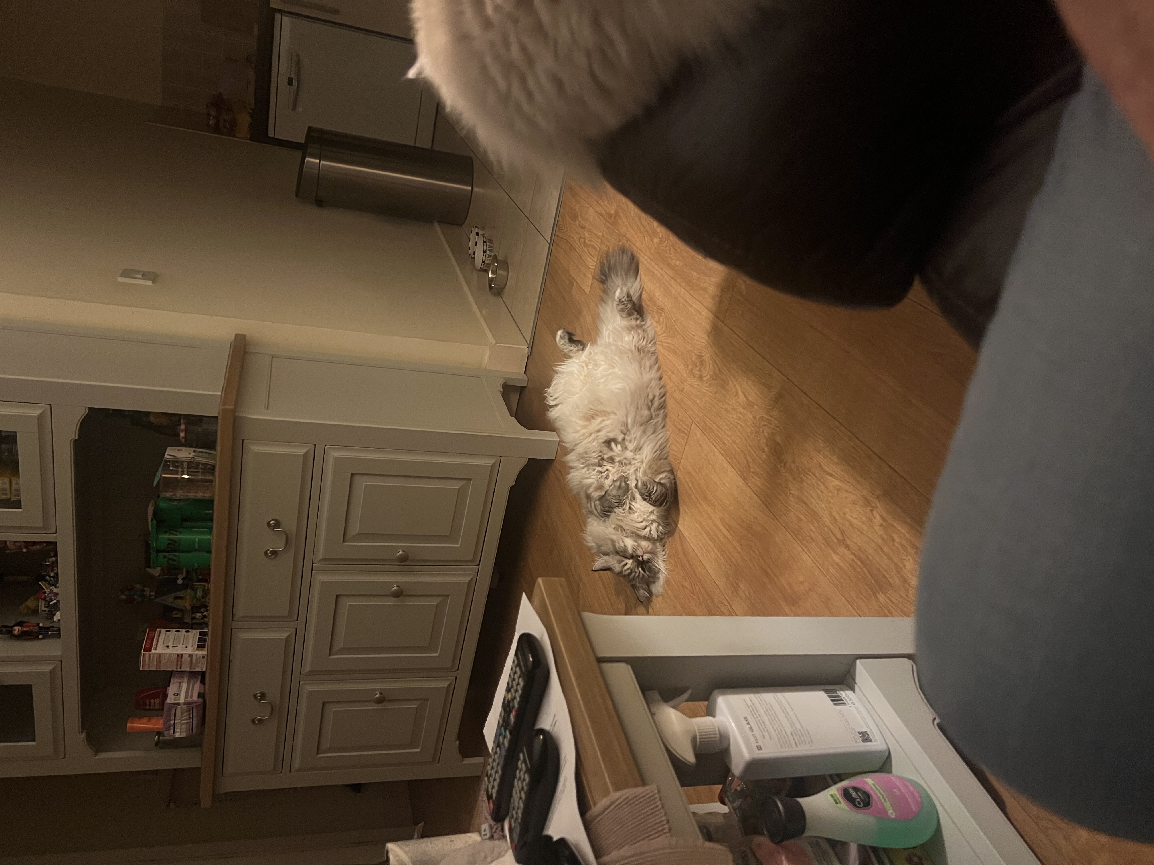 image-11