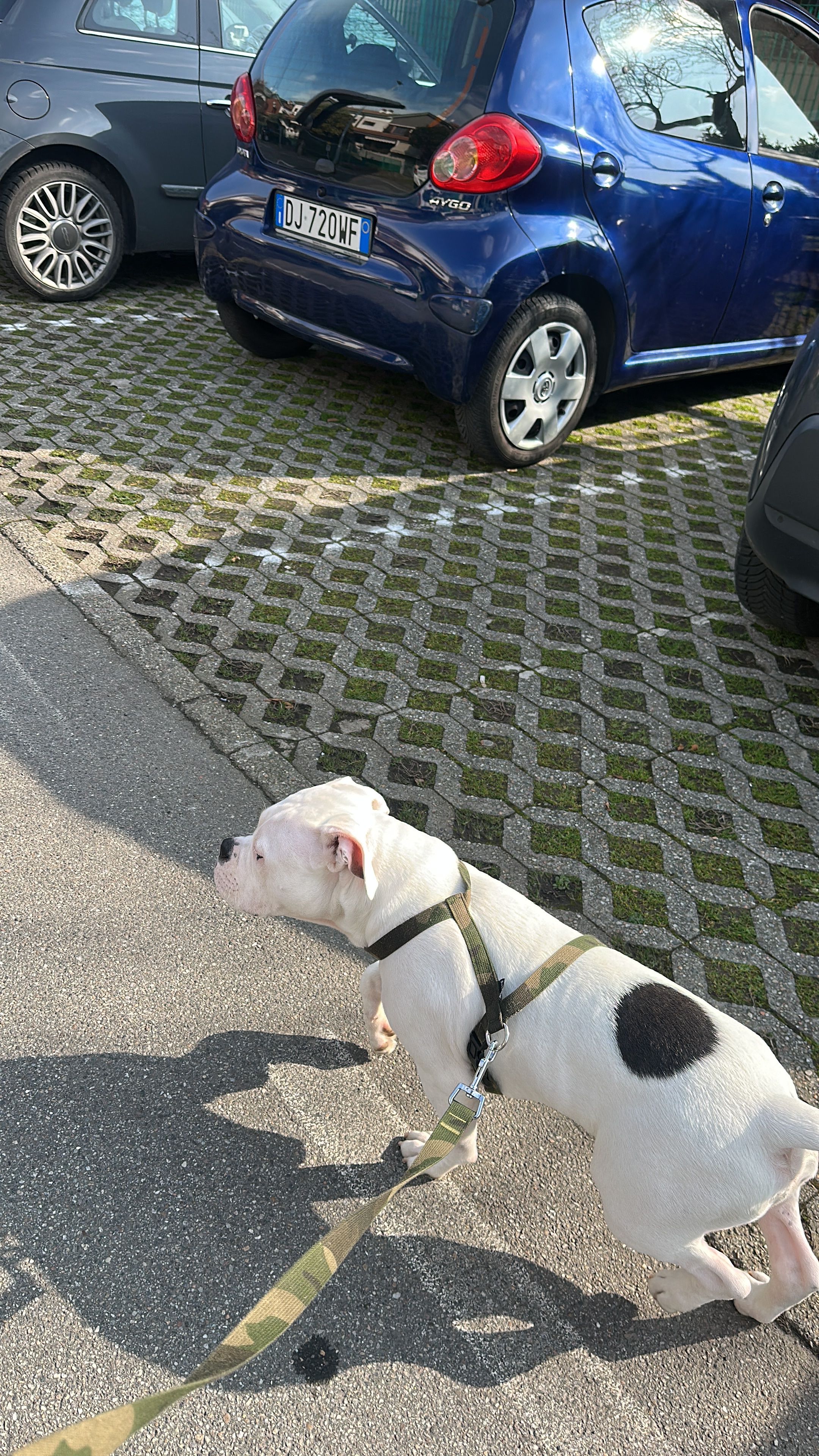 image-9