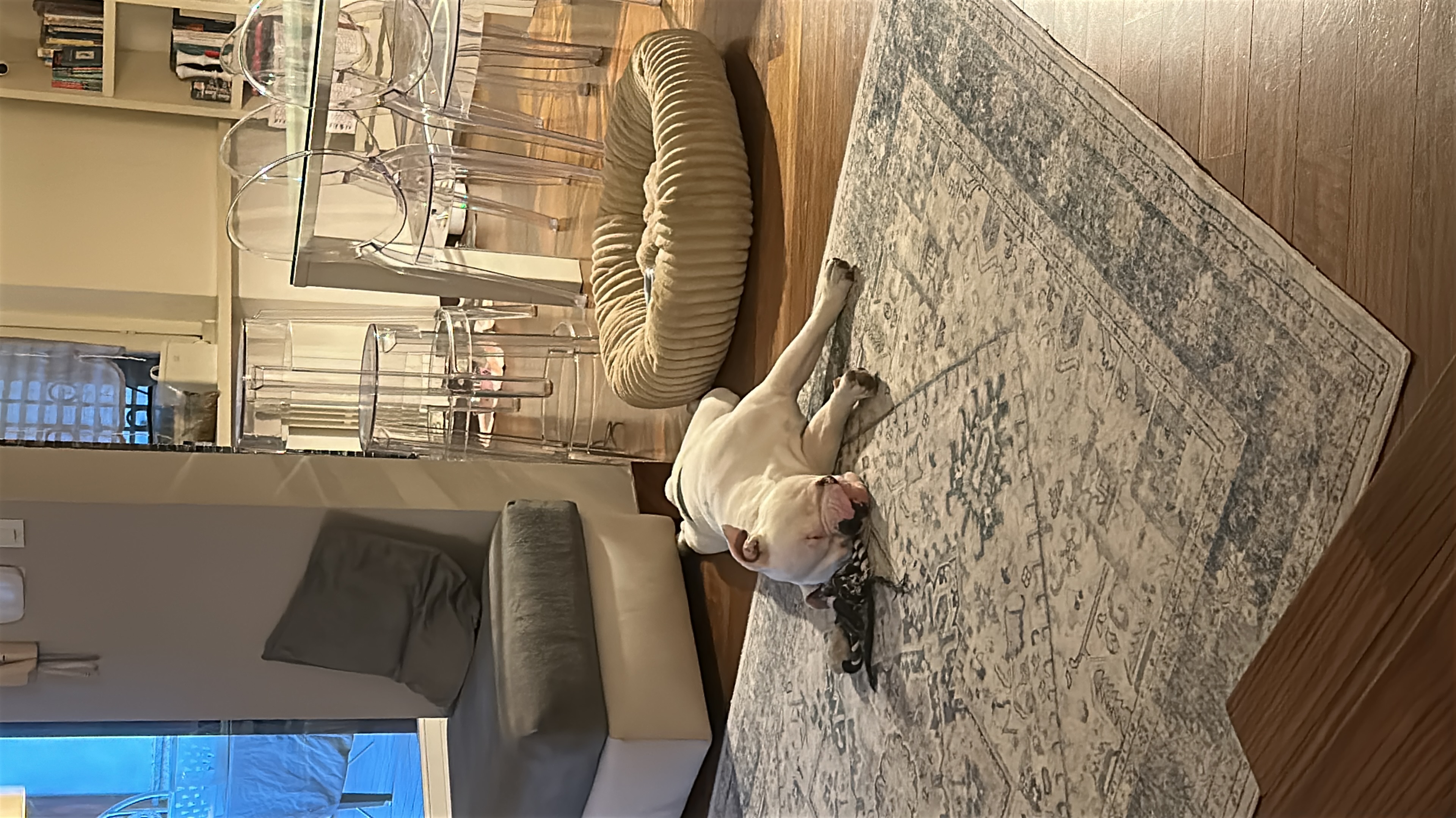image-17