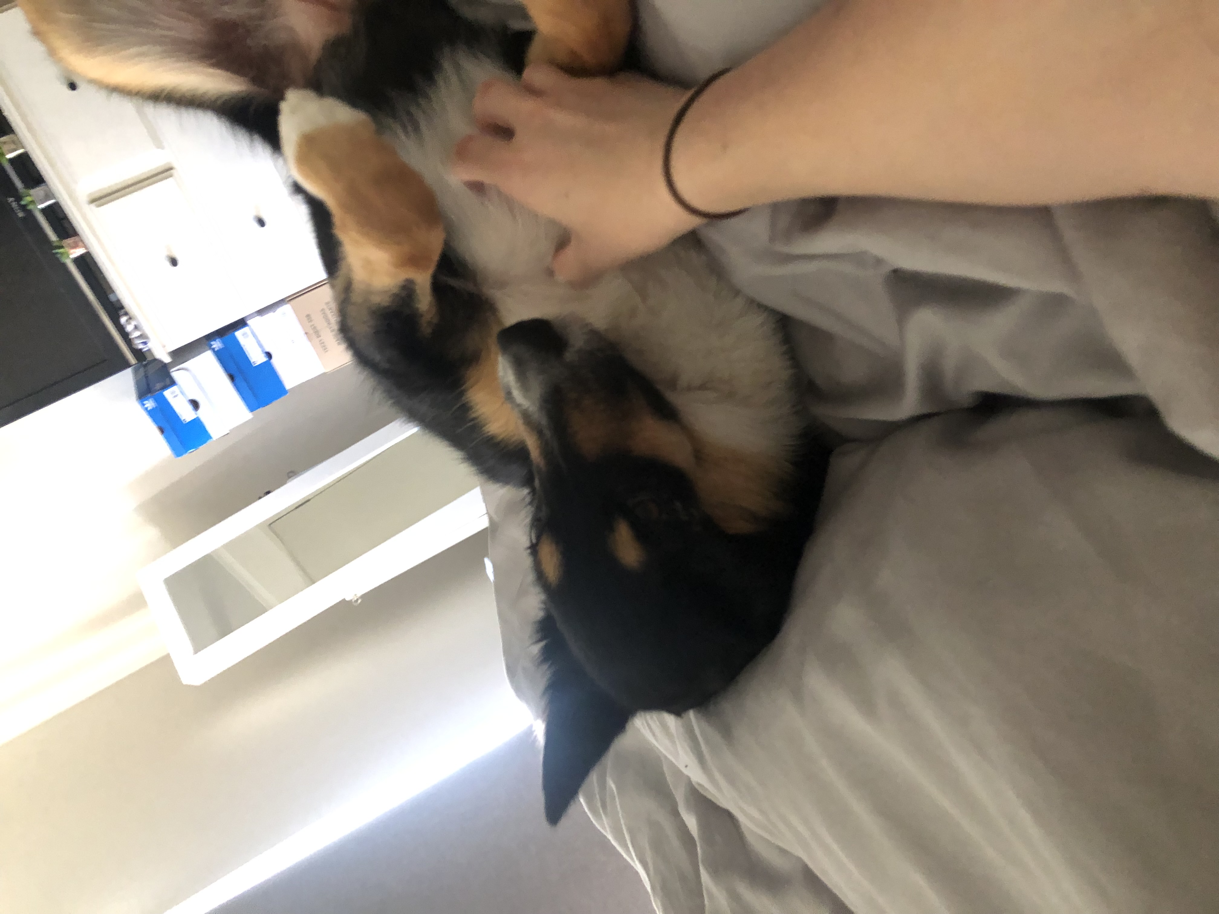 image-10