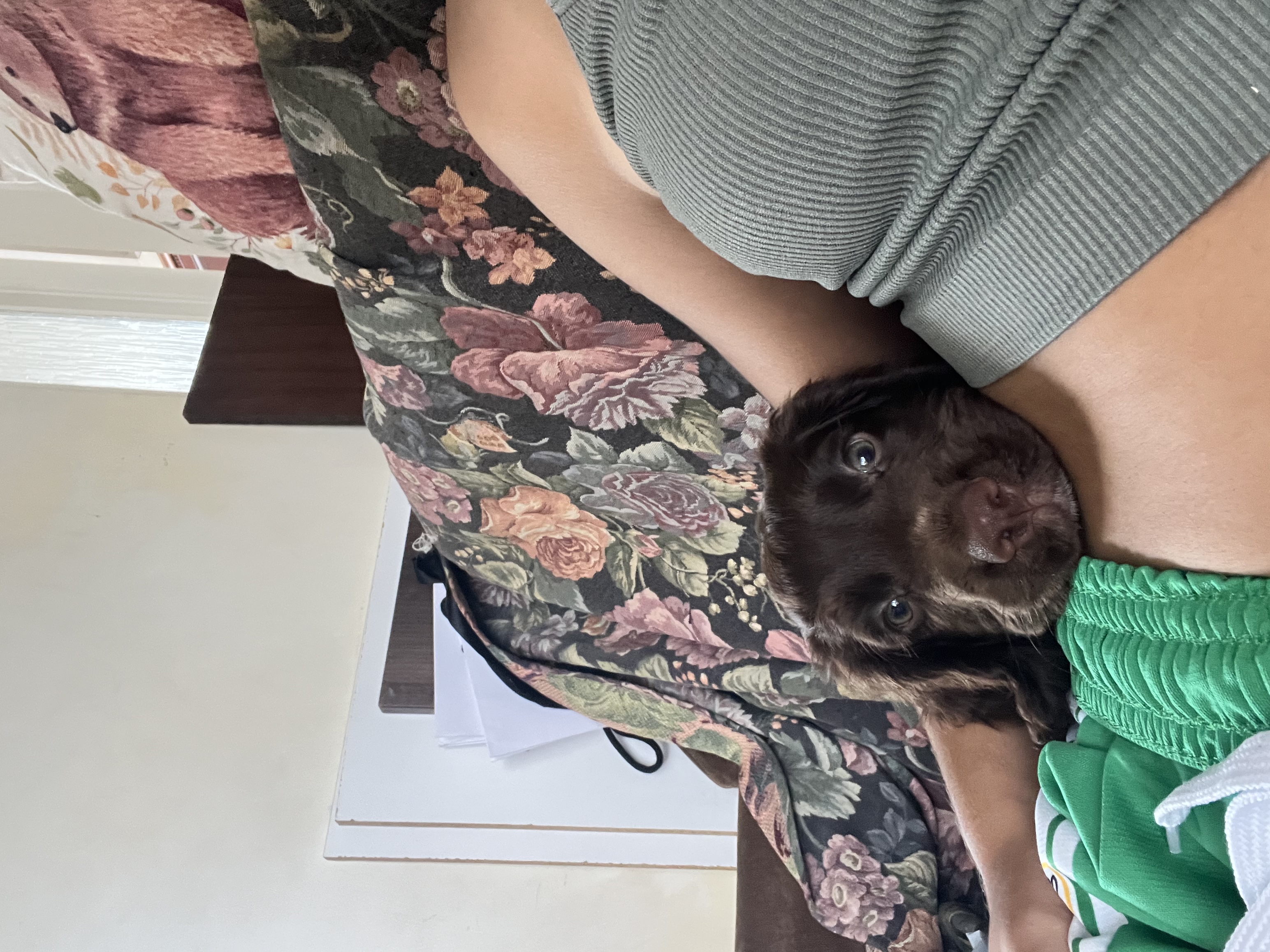 image-6