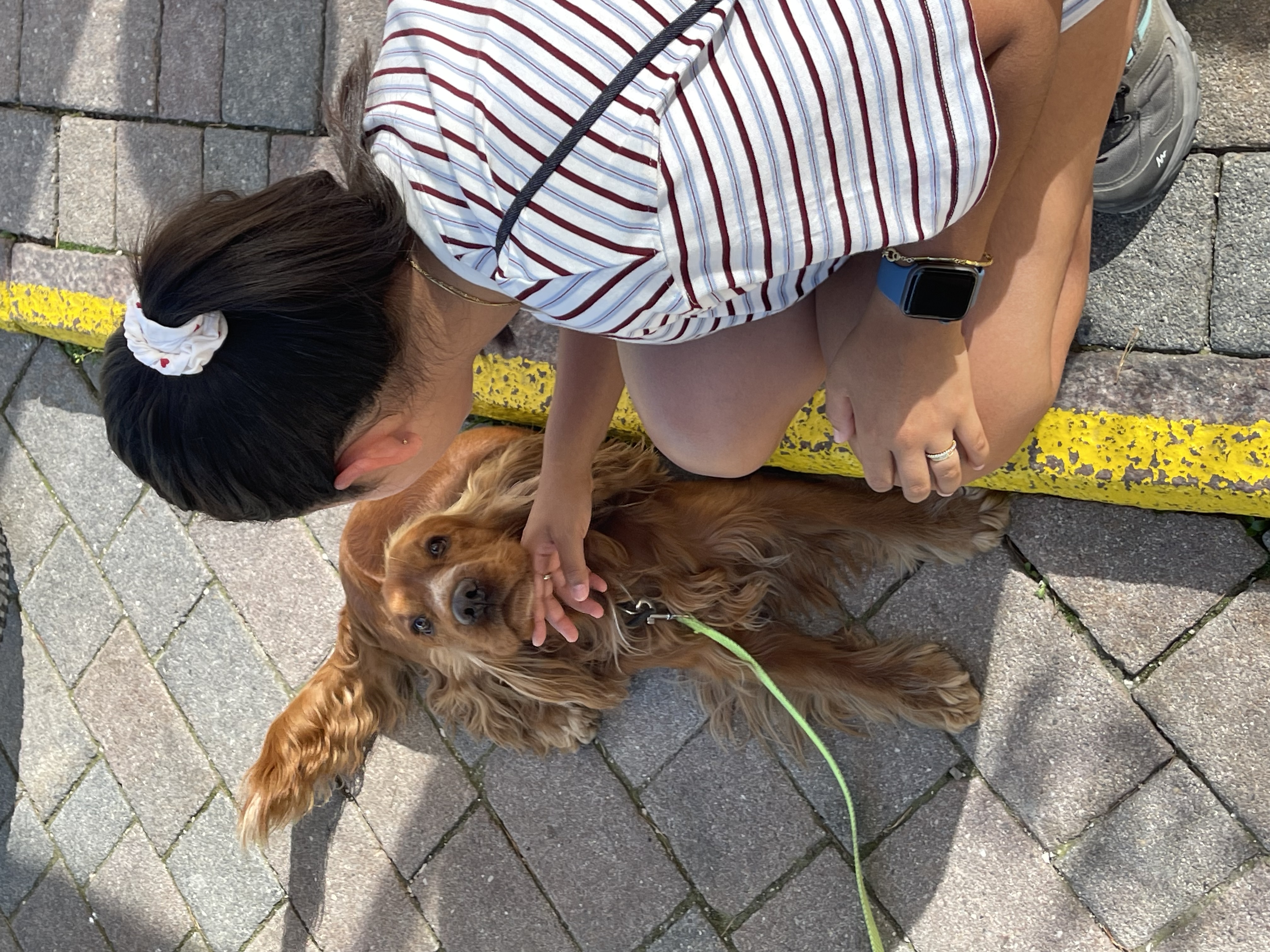 image-6