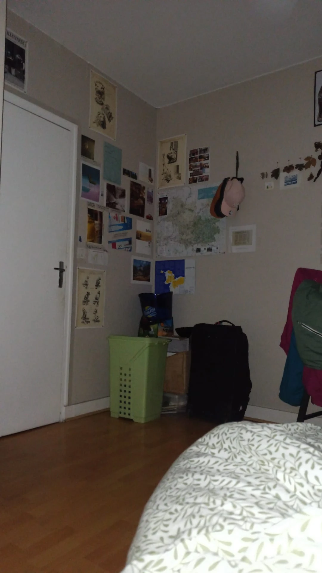 image-15