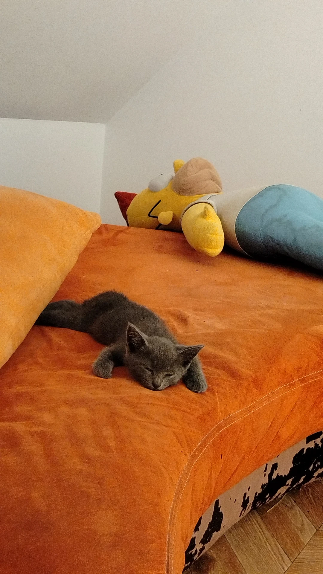 image-8