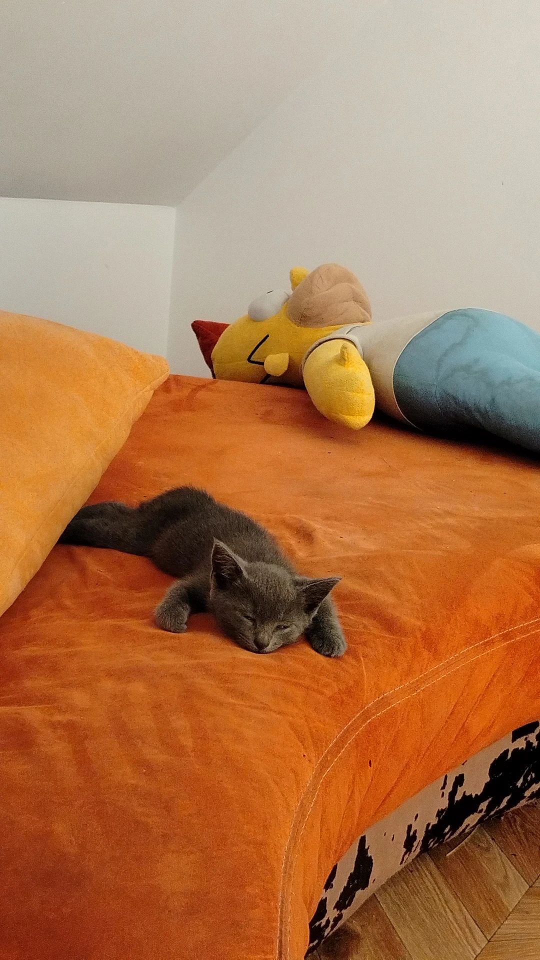 image-8