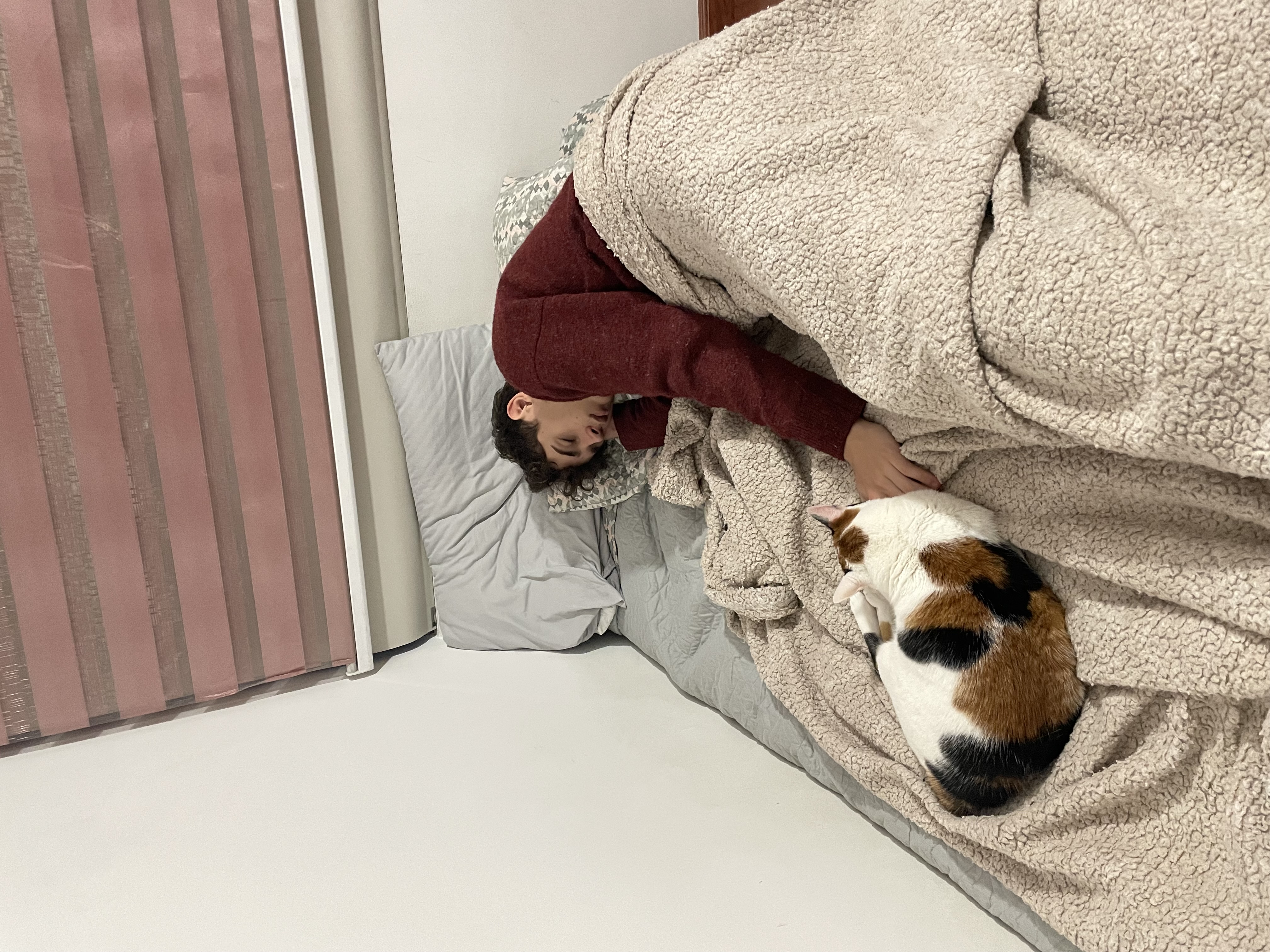 image-7