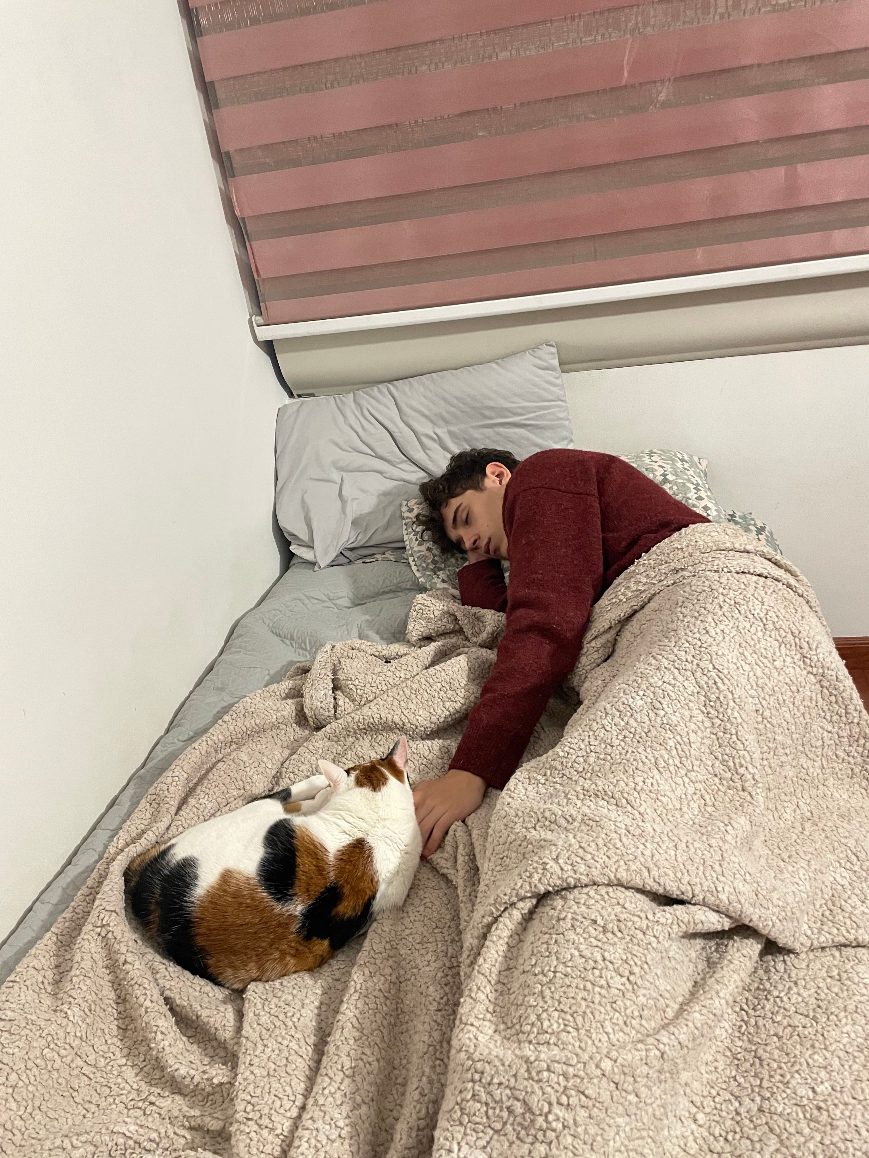 image-7