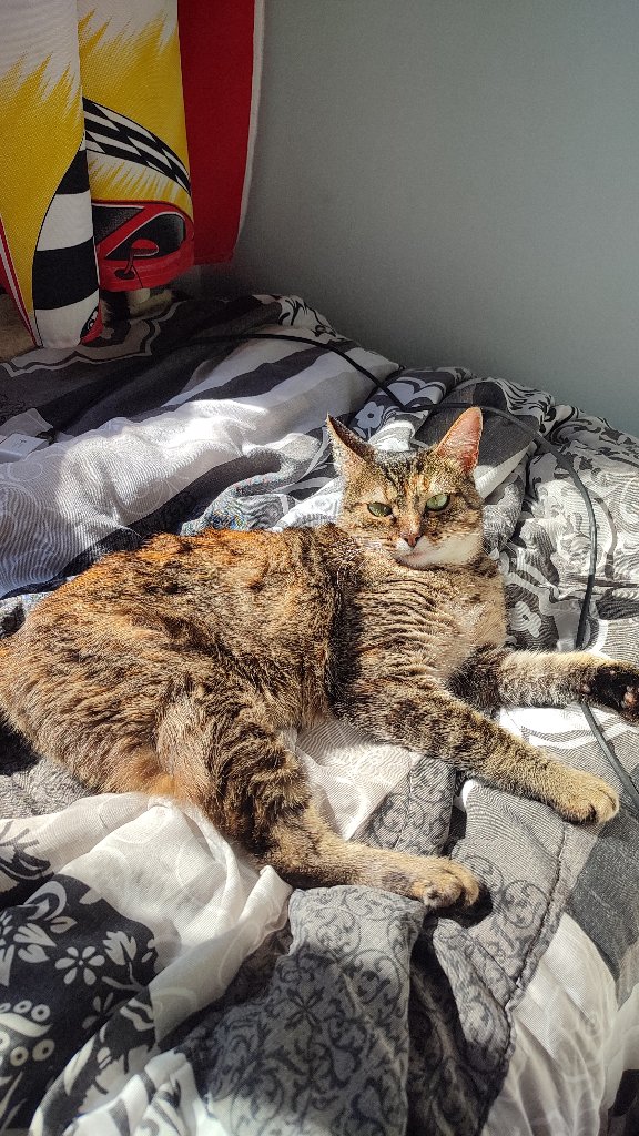 Luna