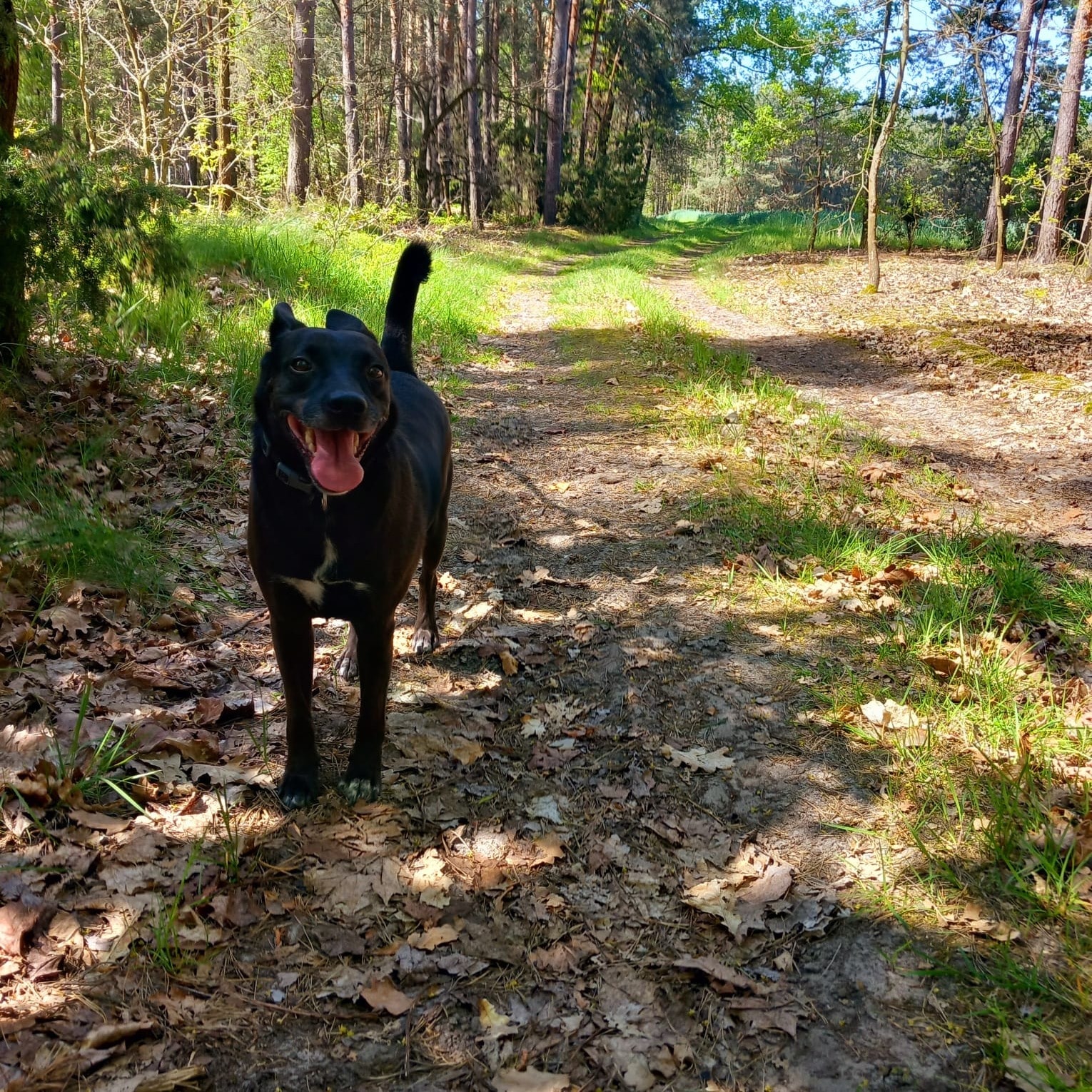 Eli ( Currently with my boyfriend in Poland for upcoming three months) 