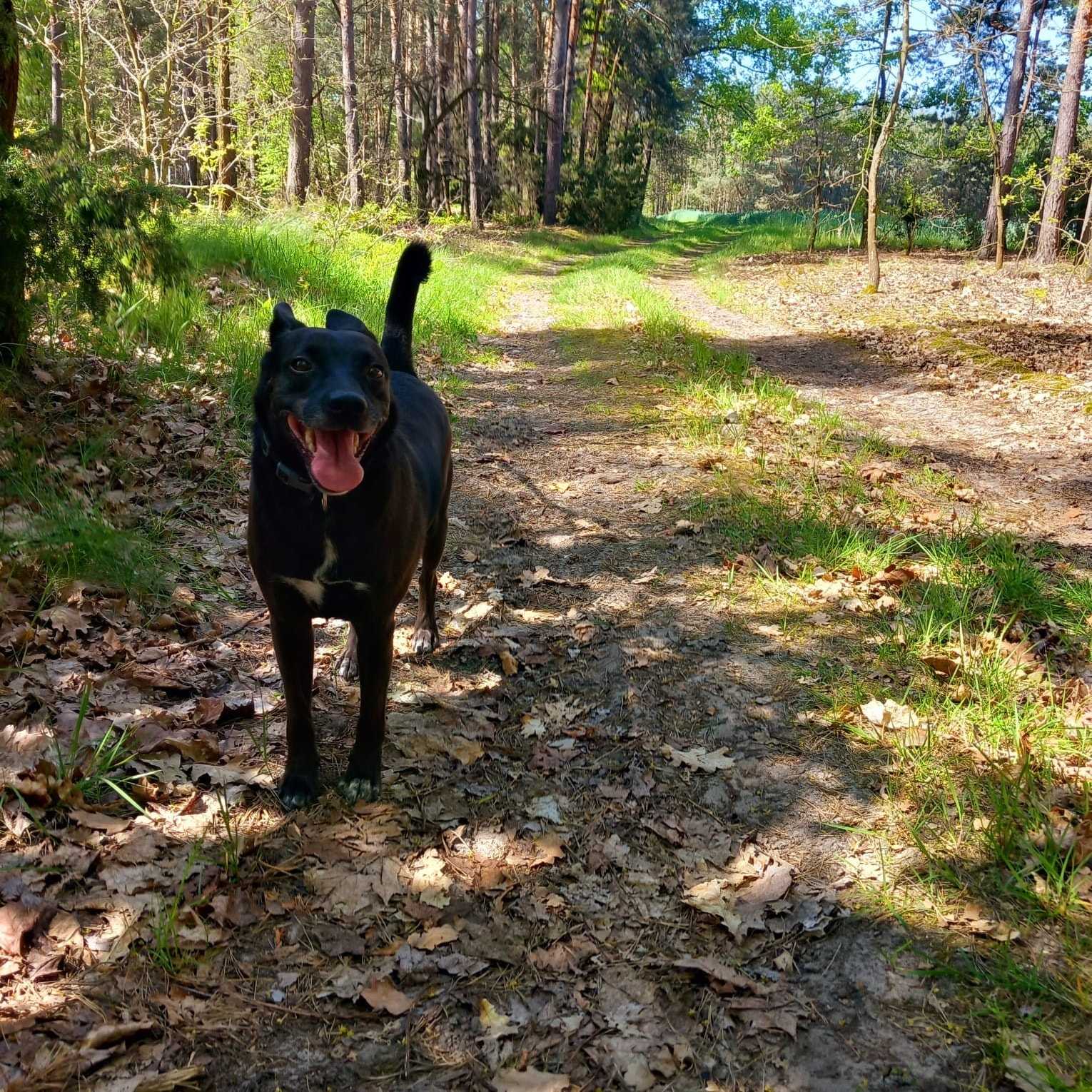 Eli ( Currently with my boyfriend in Poland for upcoming three months)